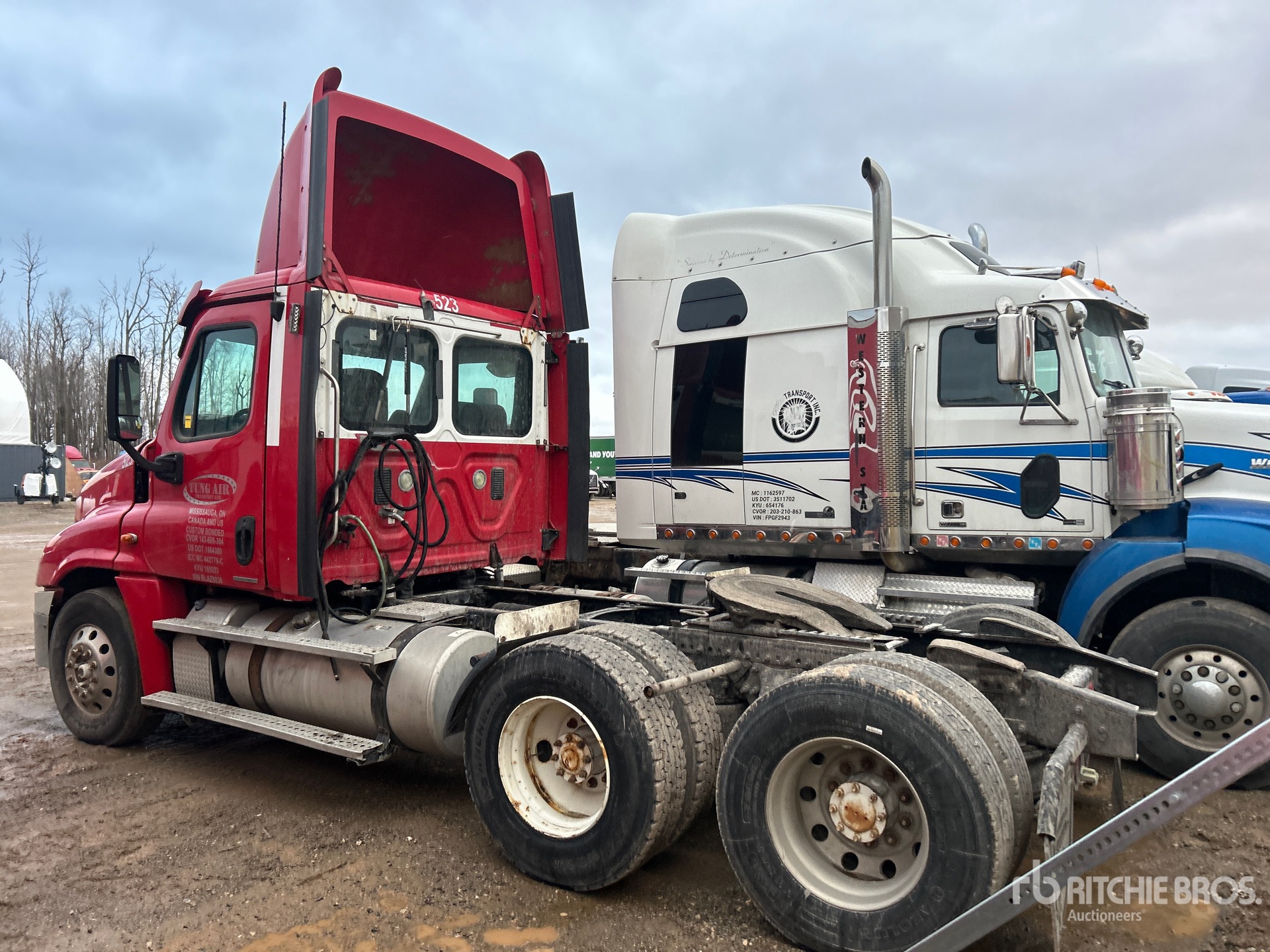 General Appearance with Bild, Ecke hinten links