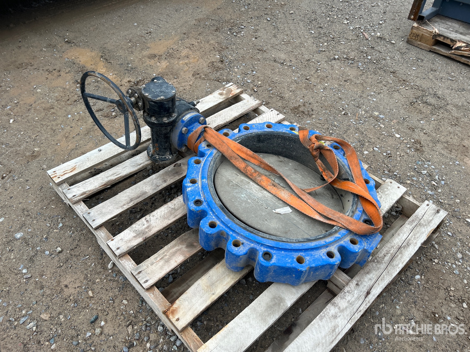 General Appearance with Image, coin avant droit