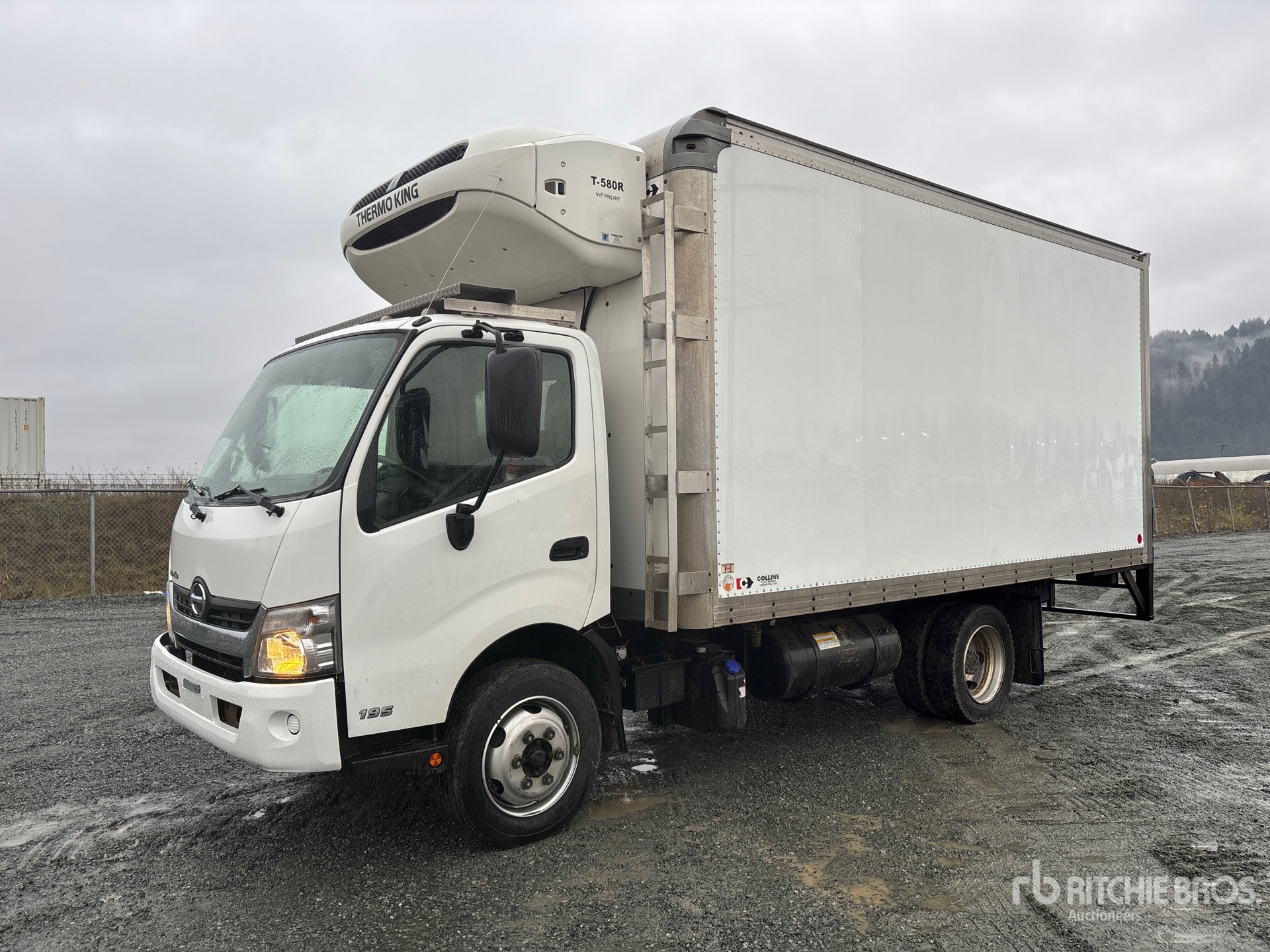 General Appearance with Spin