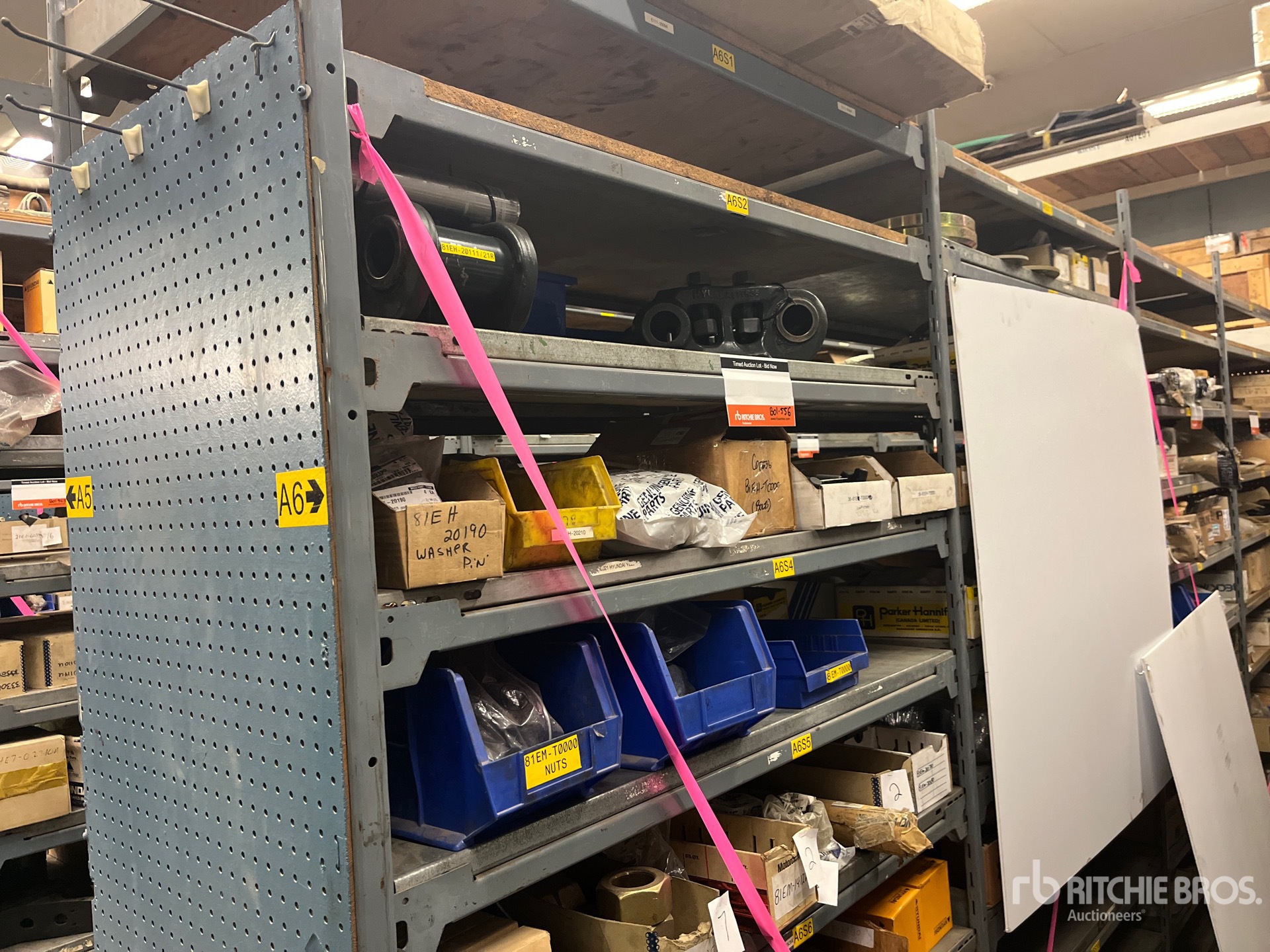 General Appearance with Foto, angolo anteriore sinistro