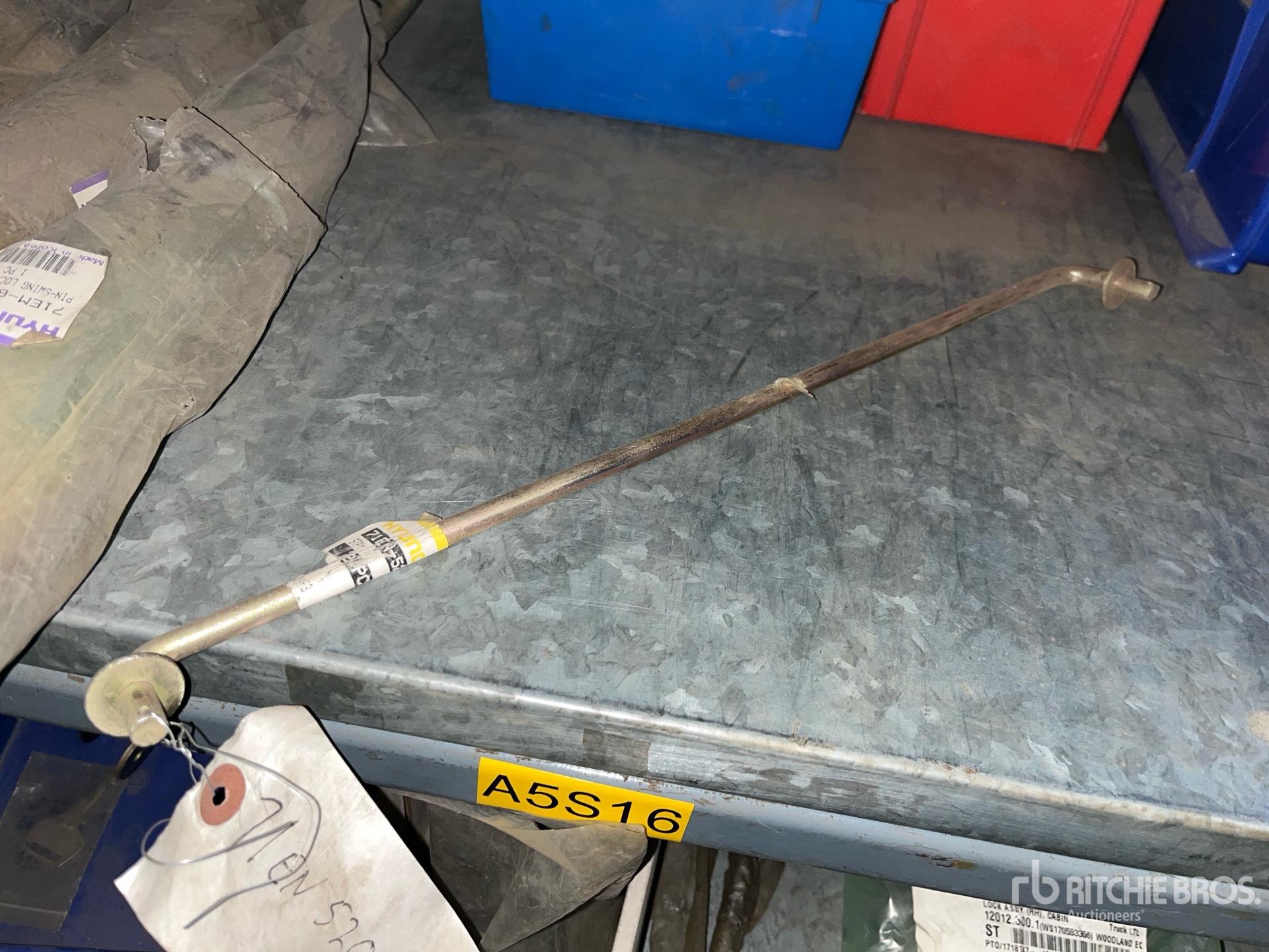 General Appearance with