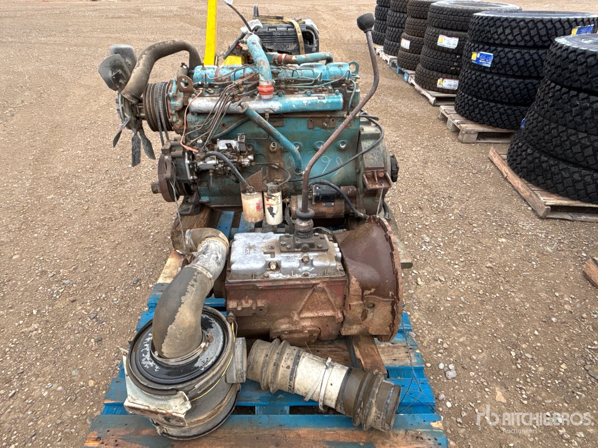 General Appearance with