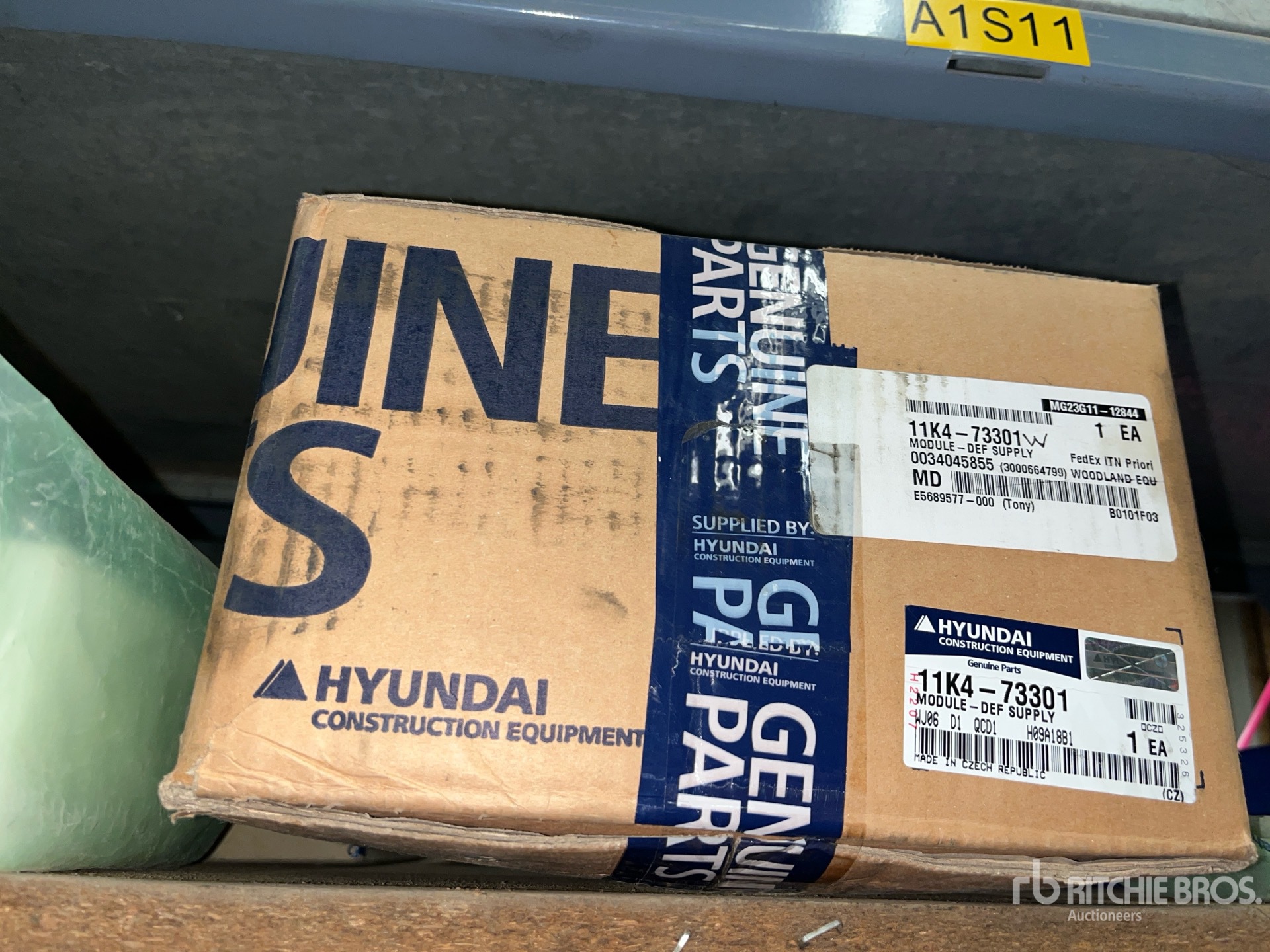 General Appearance with 