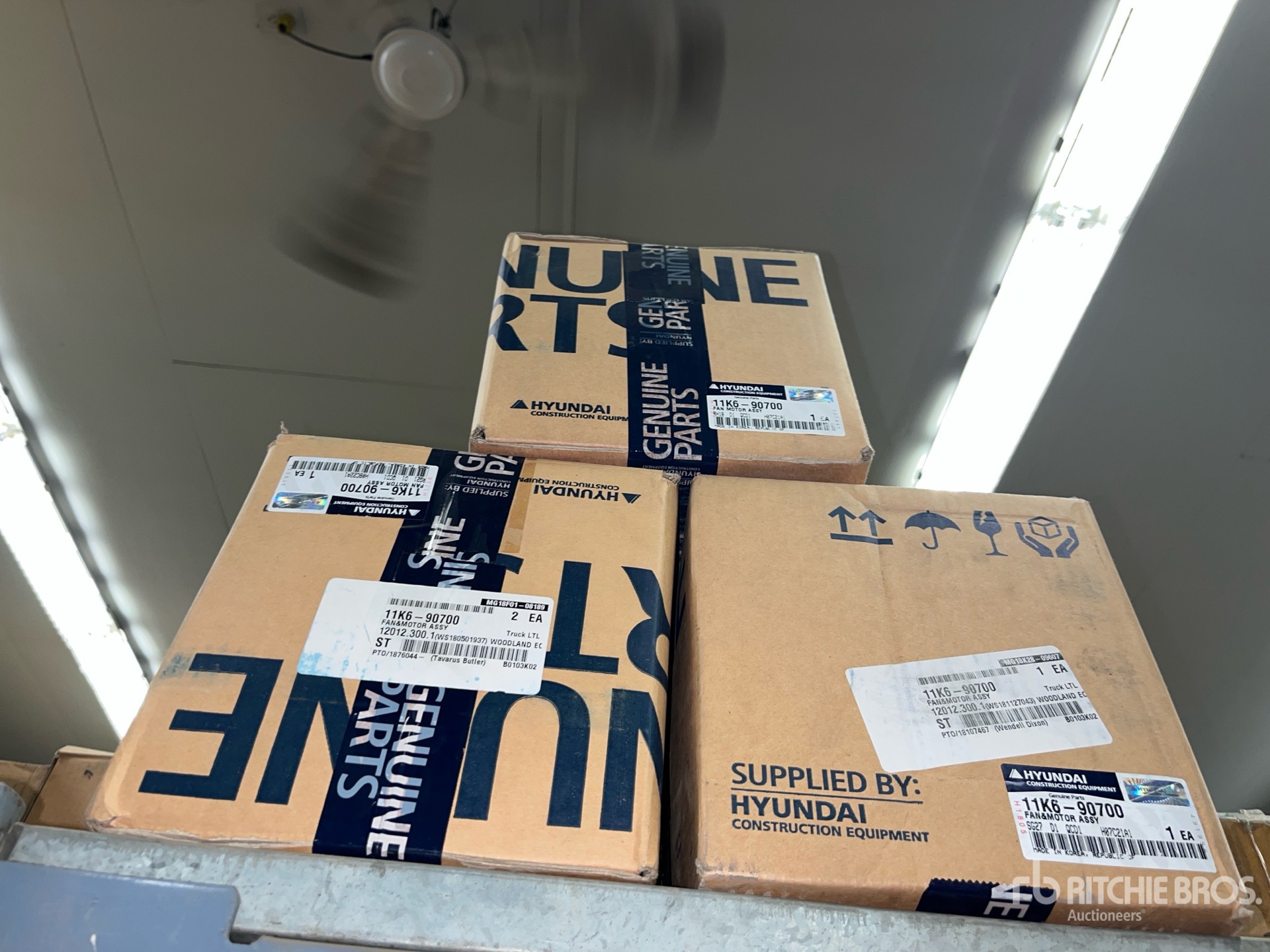 General Appearance with 