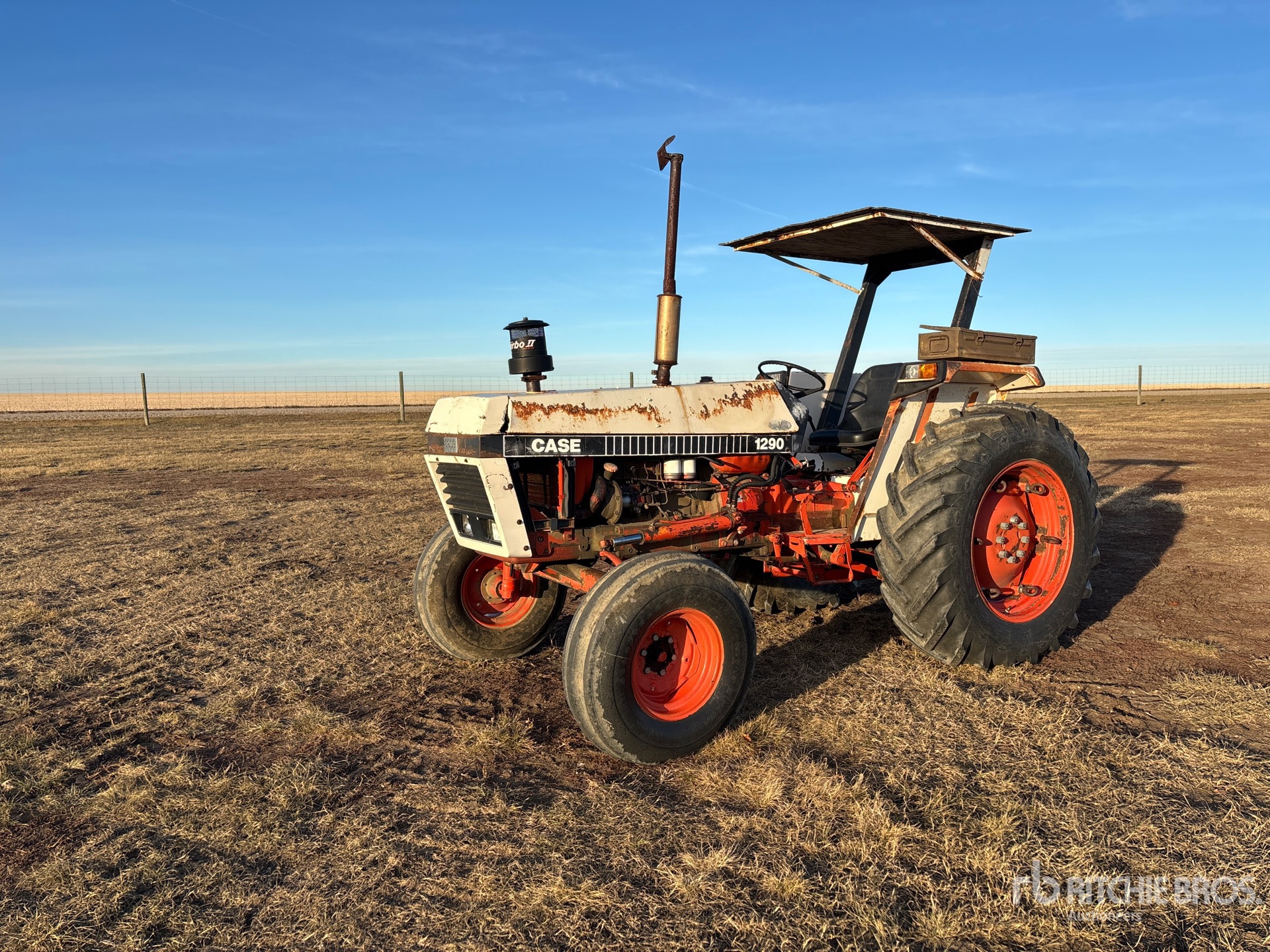 General Appearance with Spin