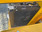 Engine with Radiatore