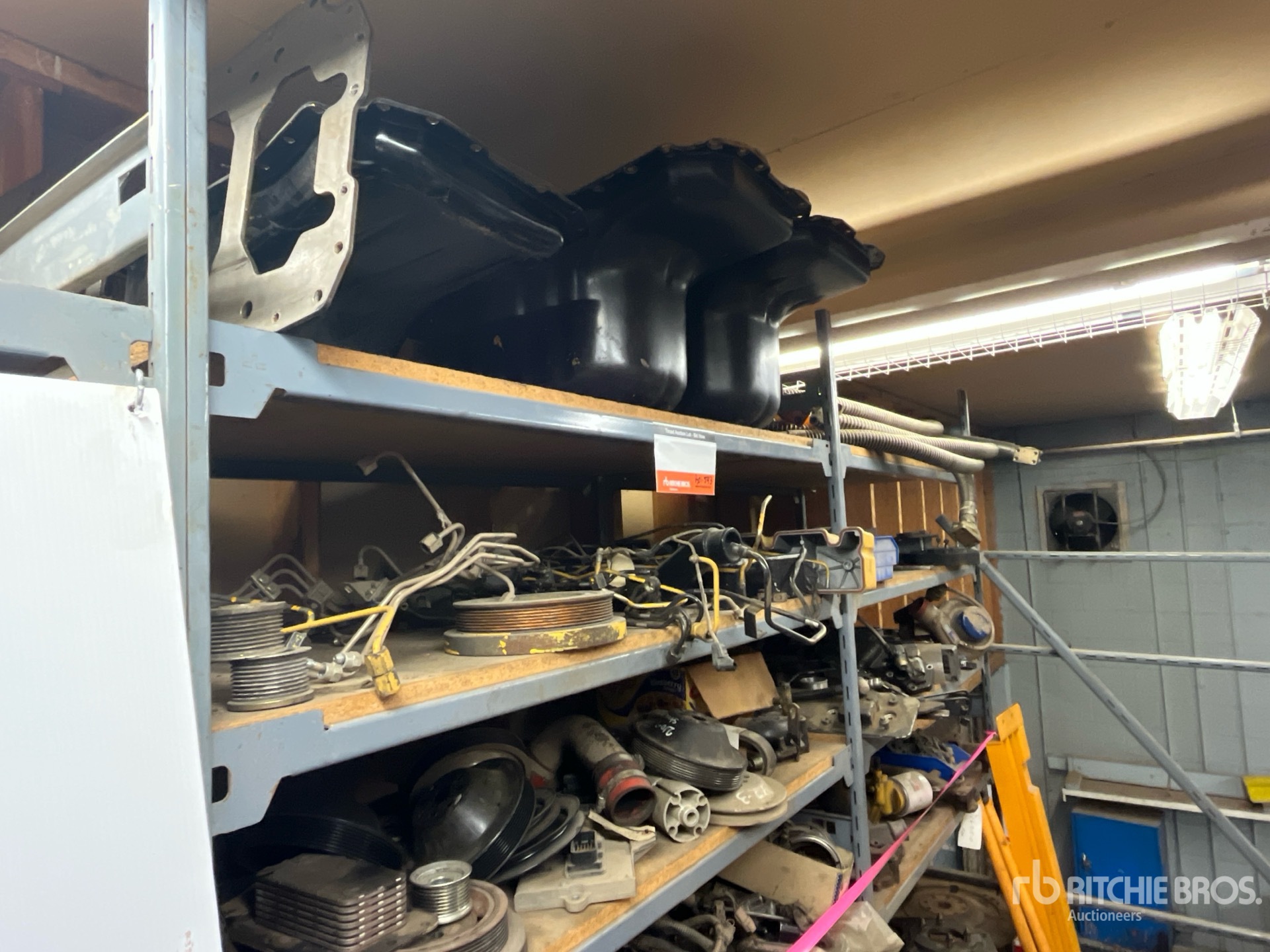 General Appearance with Foto, angolo anteriore sinistro