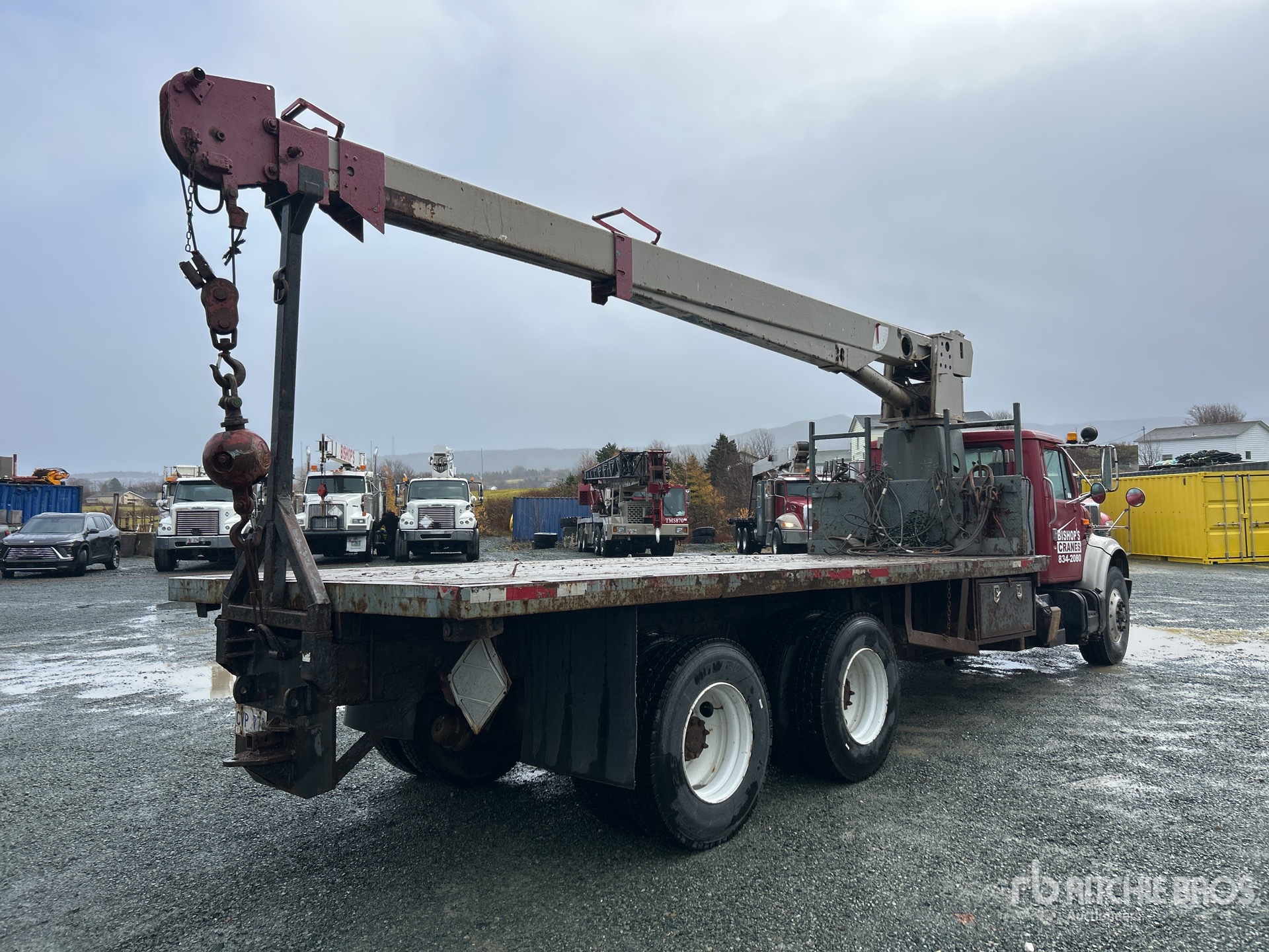 General Appearance with Zdjęcie, prawy dolny róg