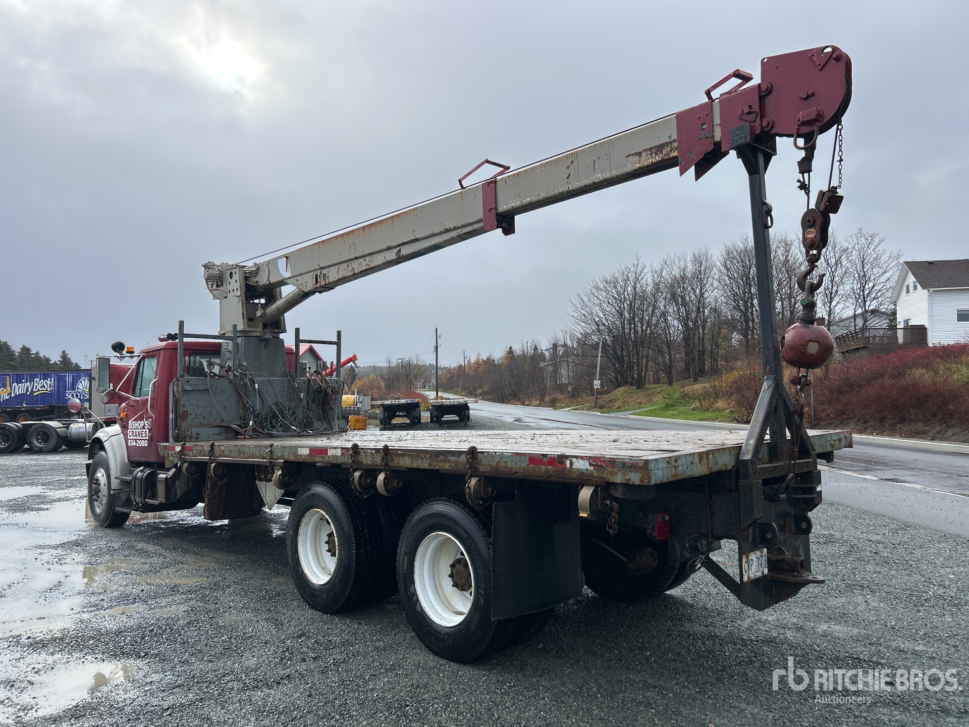 General Appearance with Zdjęcie, lewy dolny róg