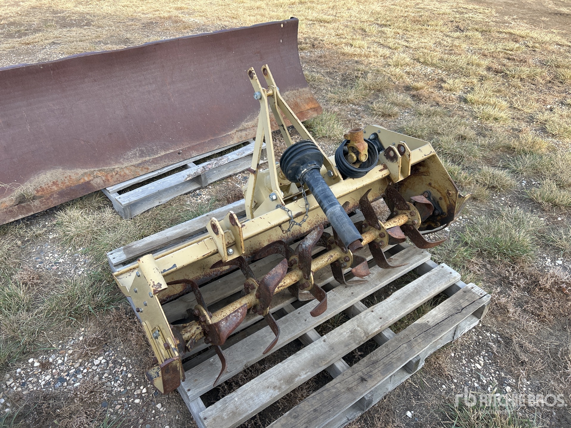 General Appearance with Image, coin avant droit