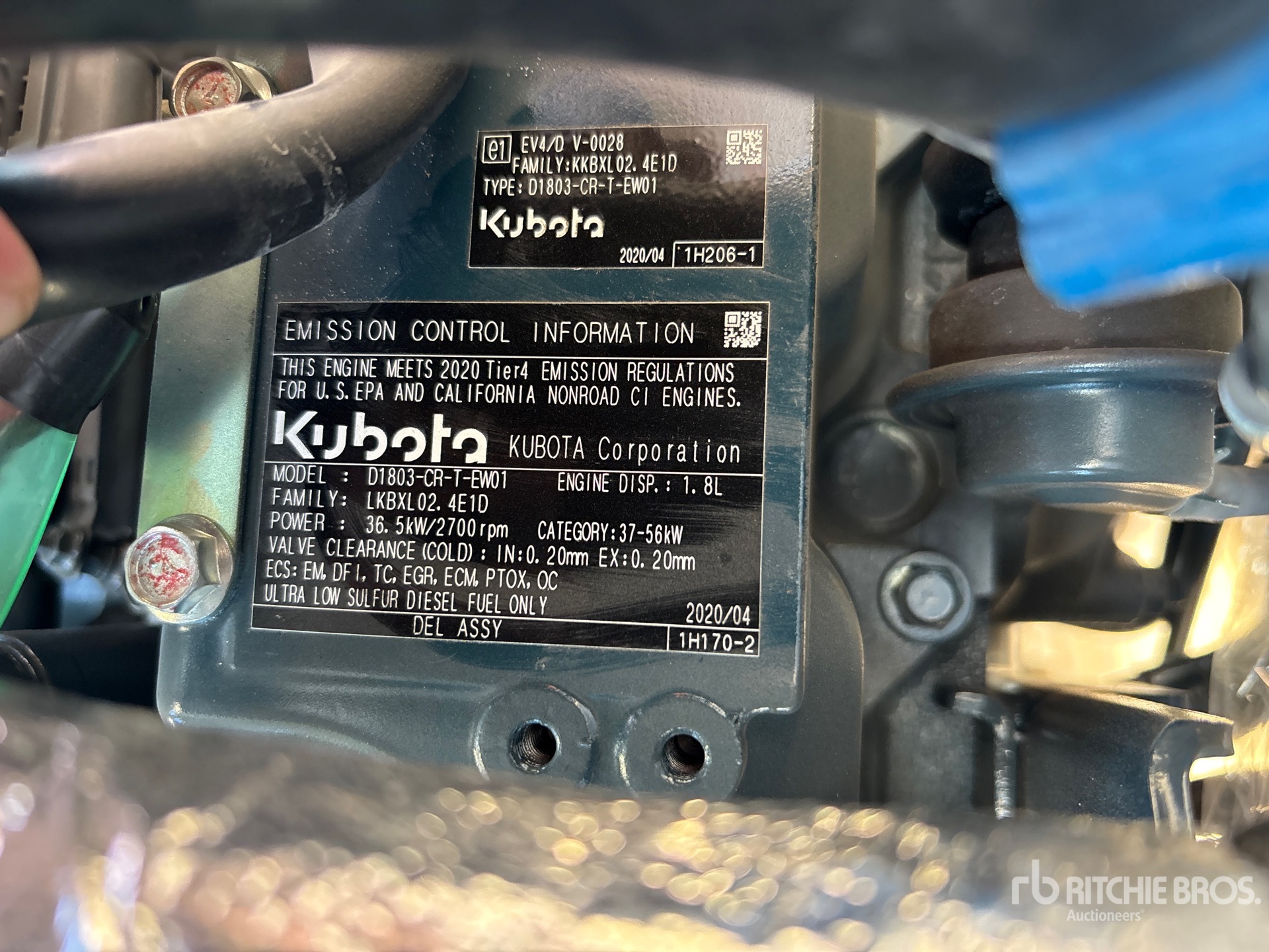 General Appearance with 