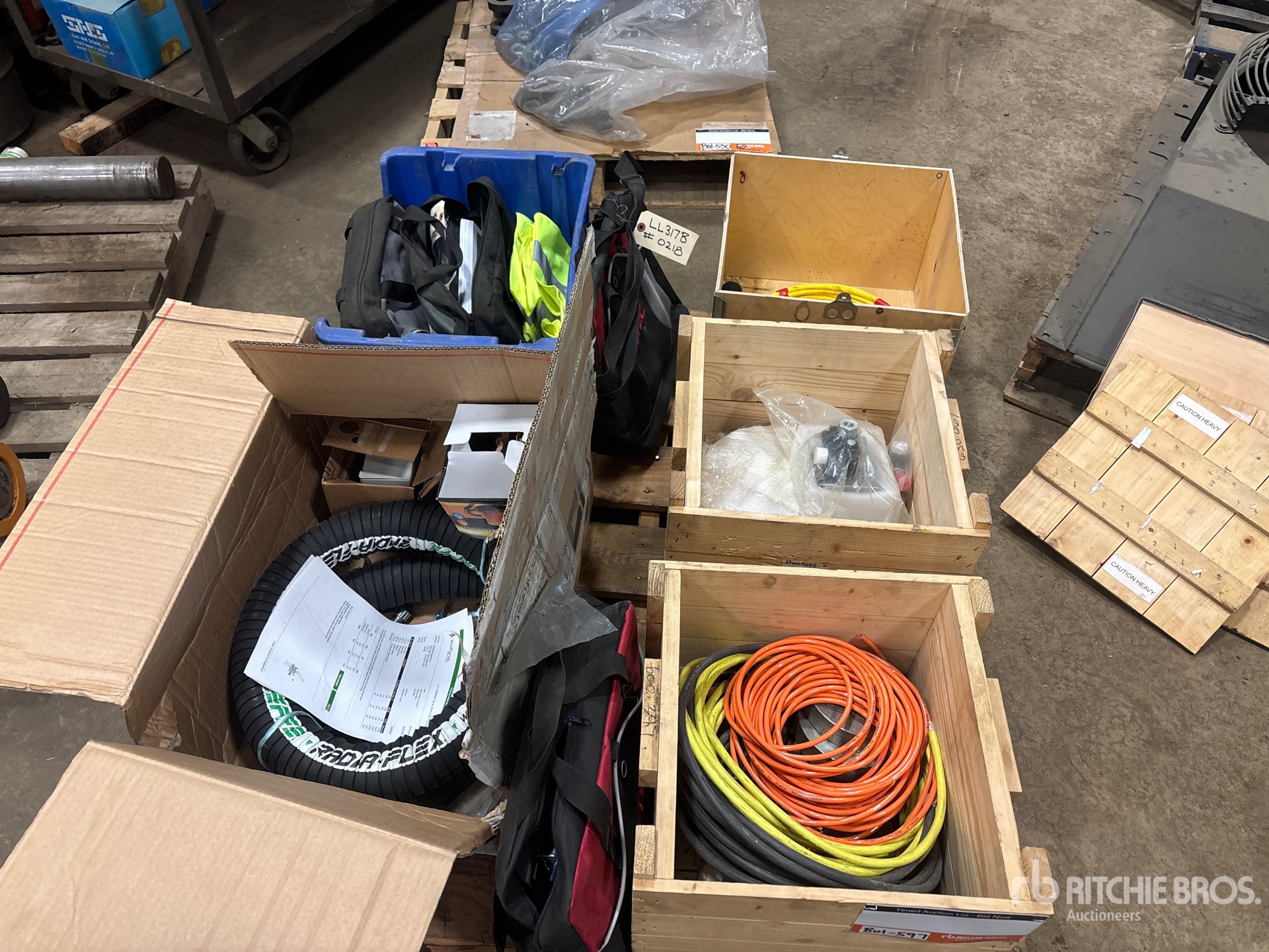 General Appearance with