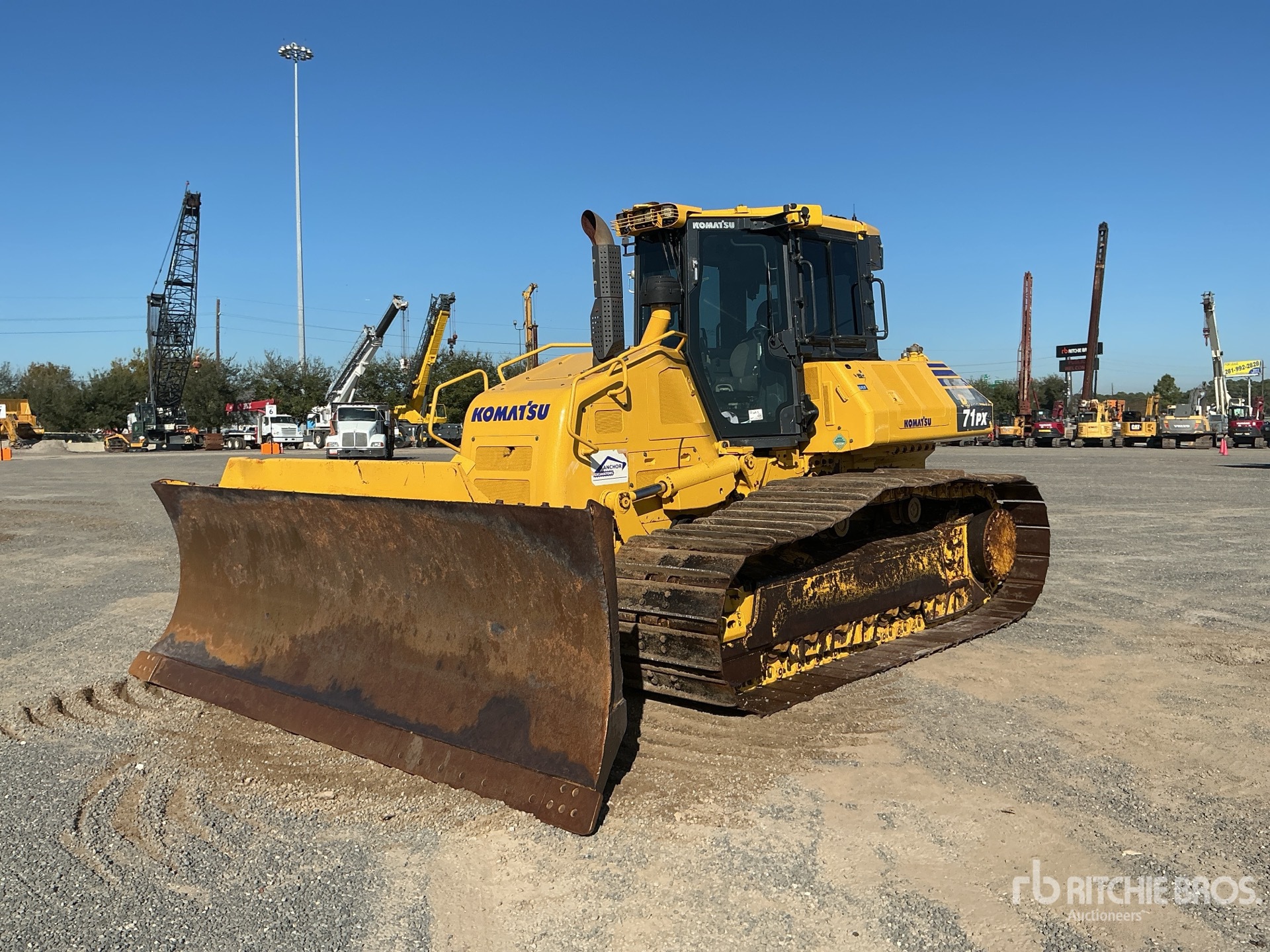 General Appearance with Spin