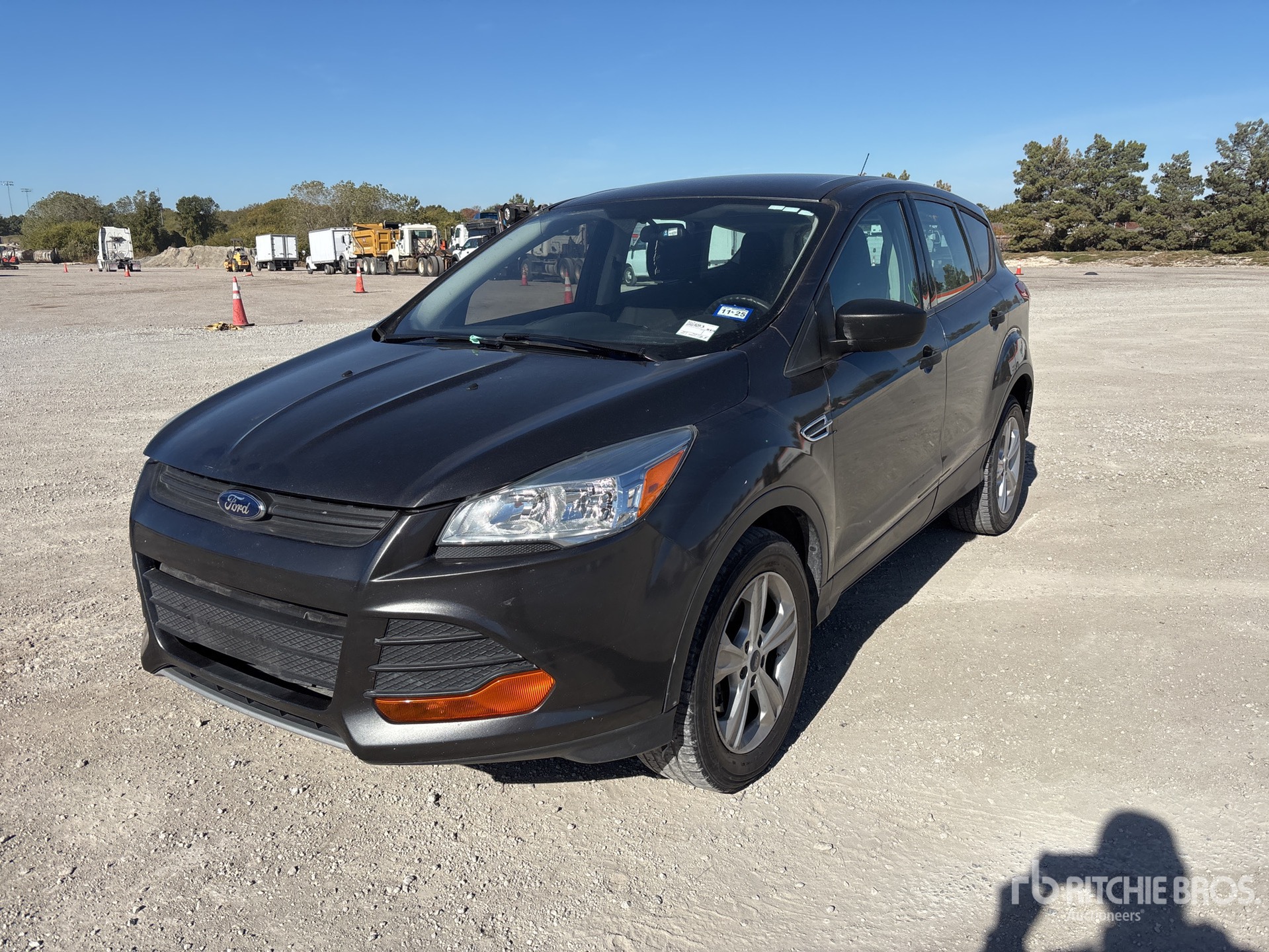 General Appearance with Spin