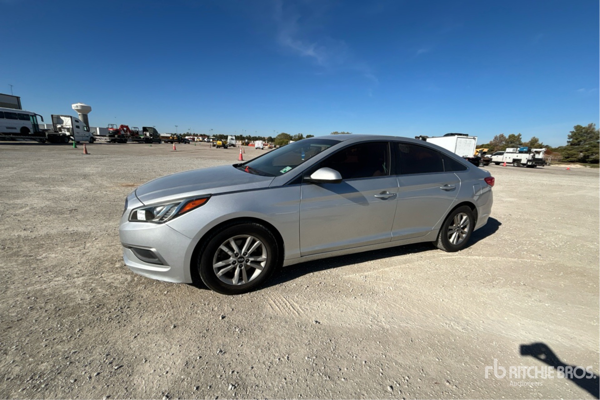 General Appearance with Spin