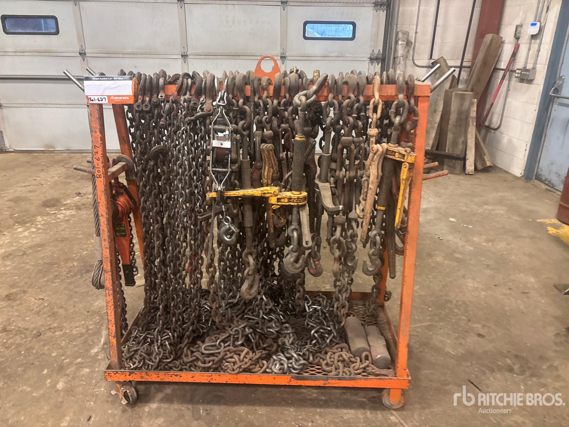 General Appearance with 