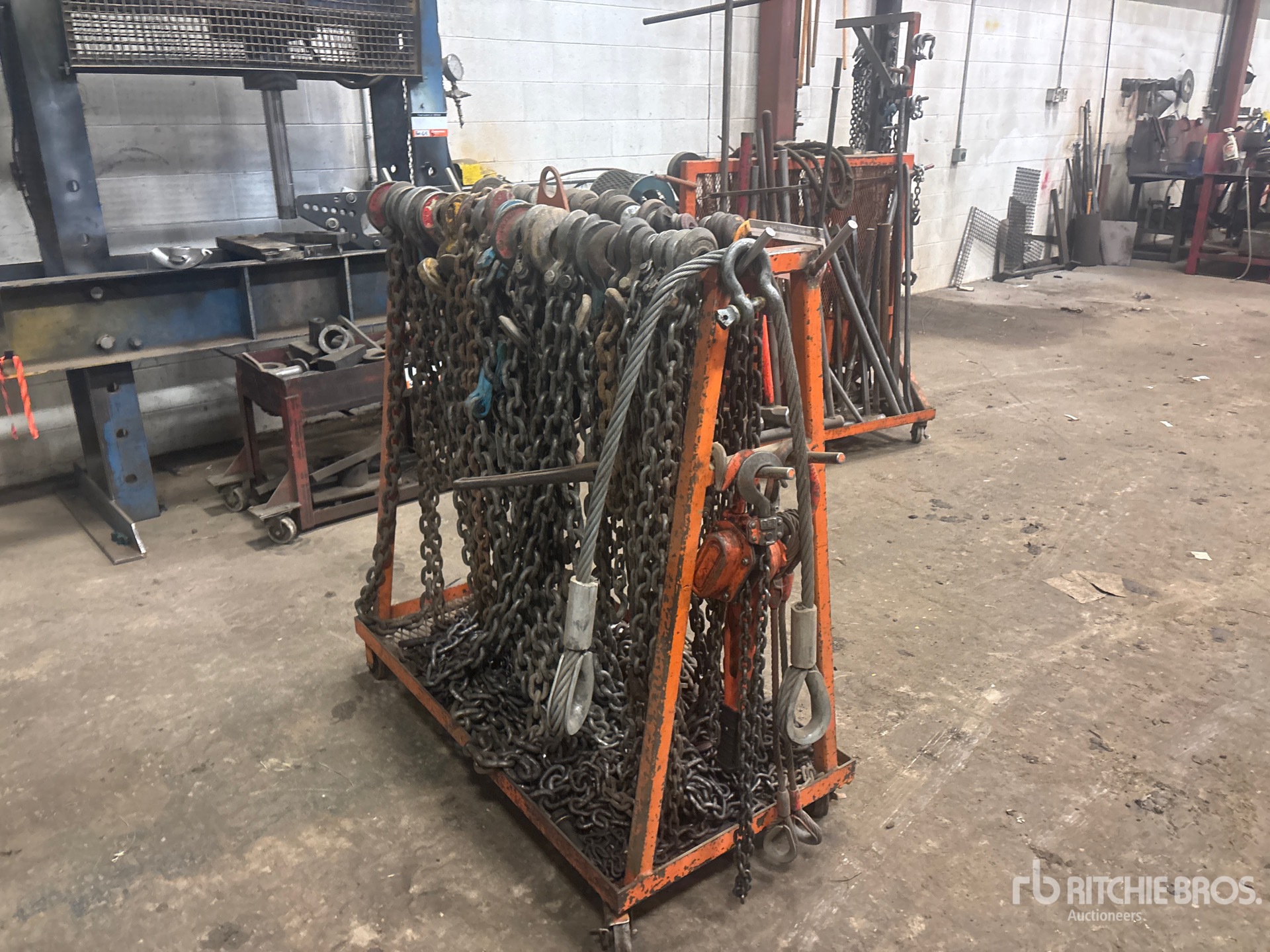 General Appearance with Foto, angolo anteriore sinistro