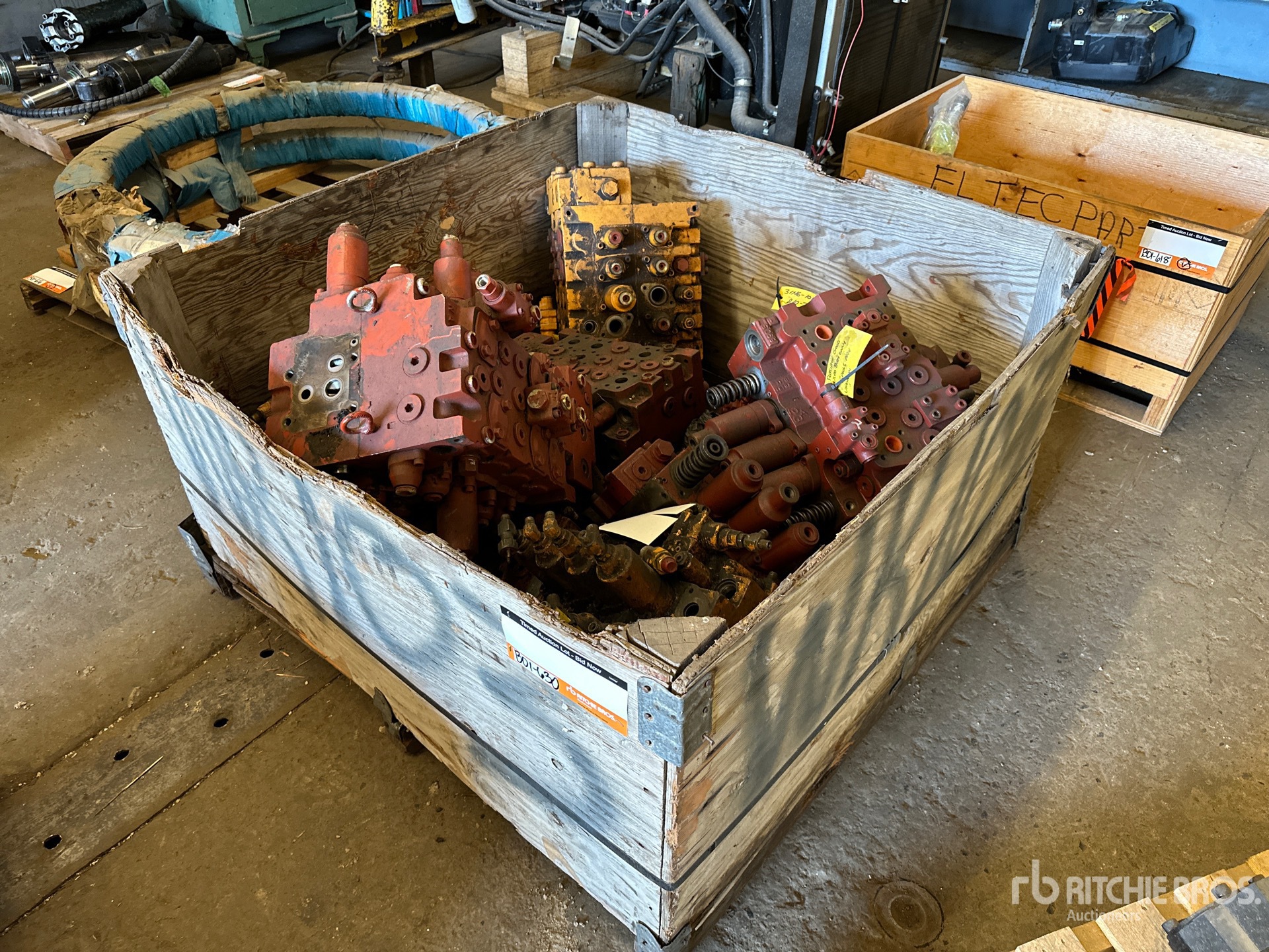 General Appearance with Foto, angolo anteriore sinistro