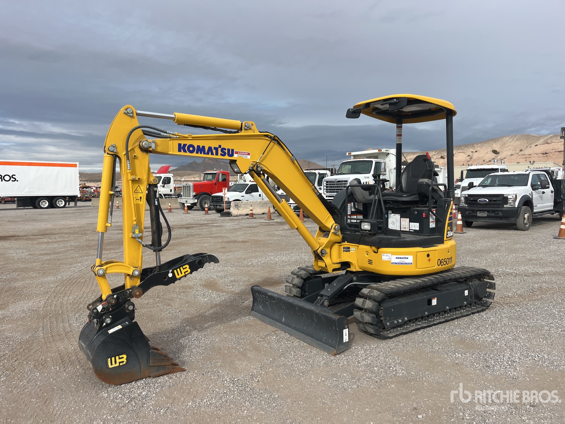 General Appearance with Spin