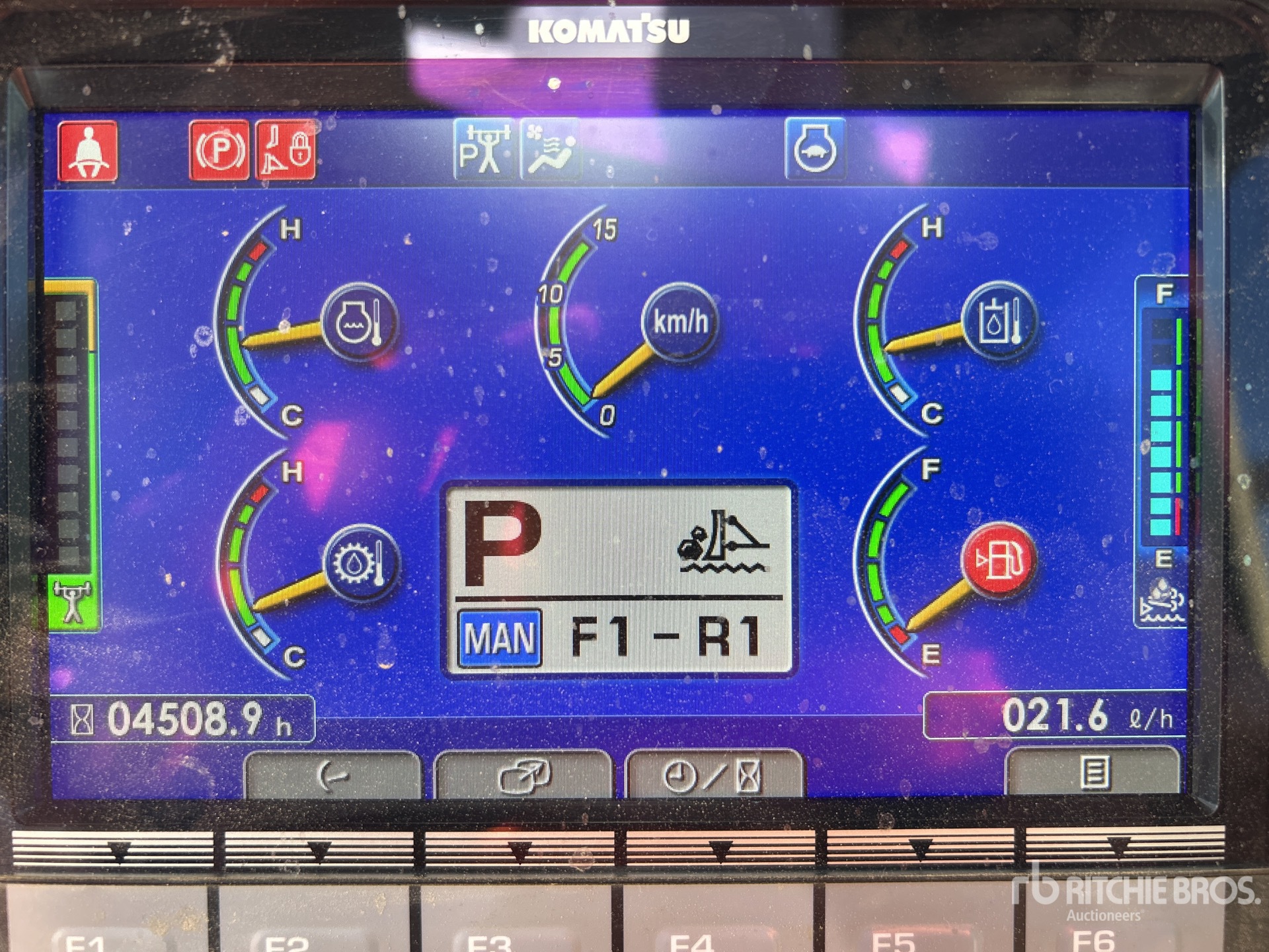 General Appearance with 