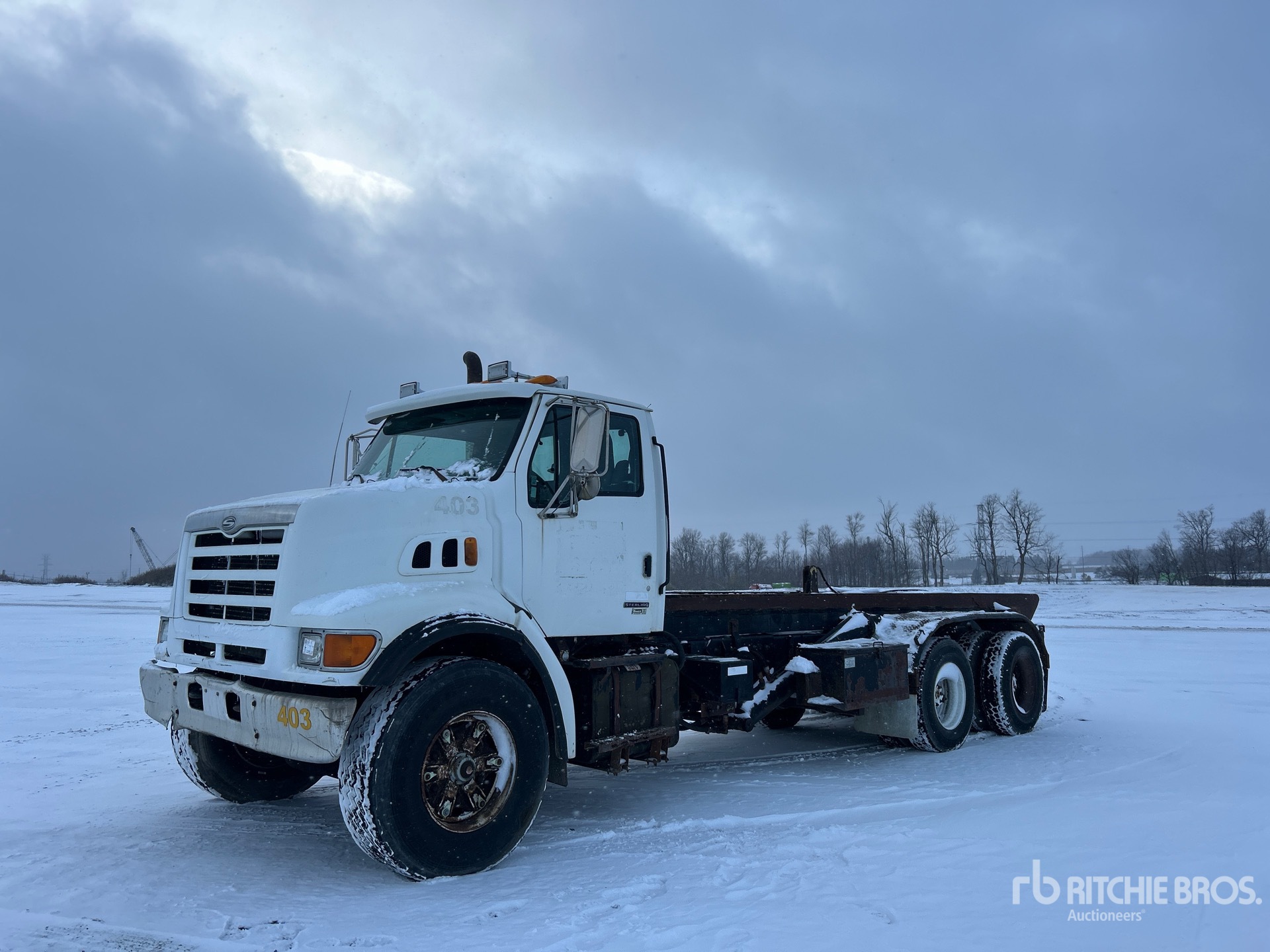 General Appearance with Spin