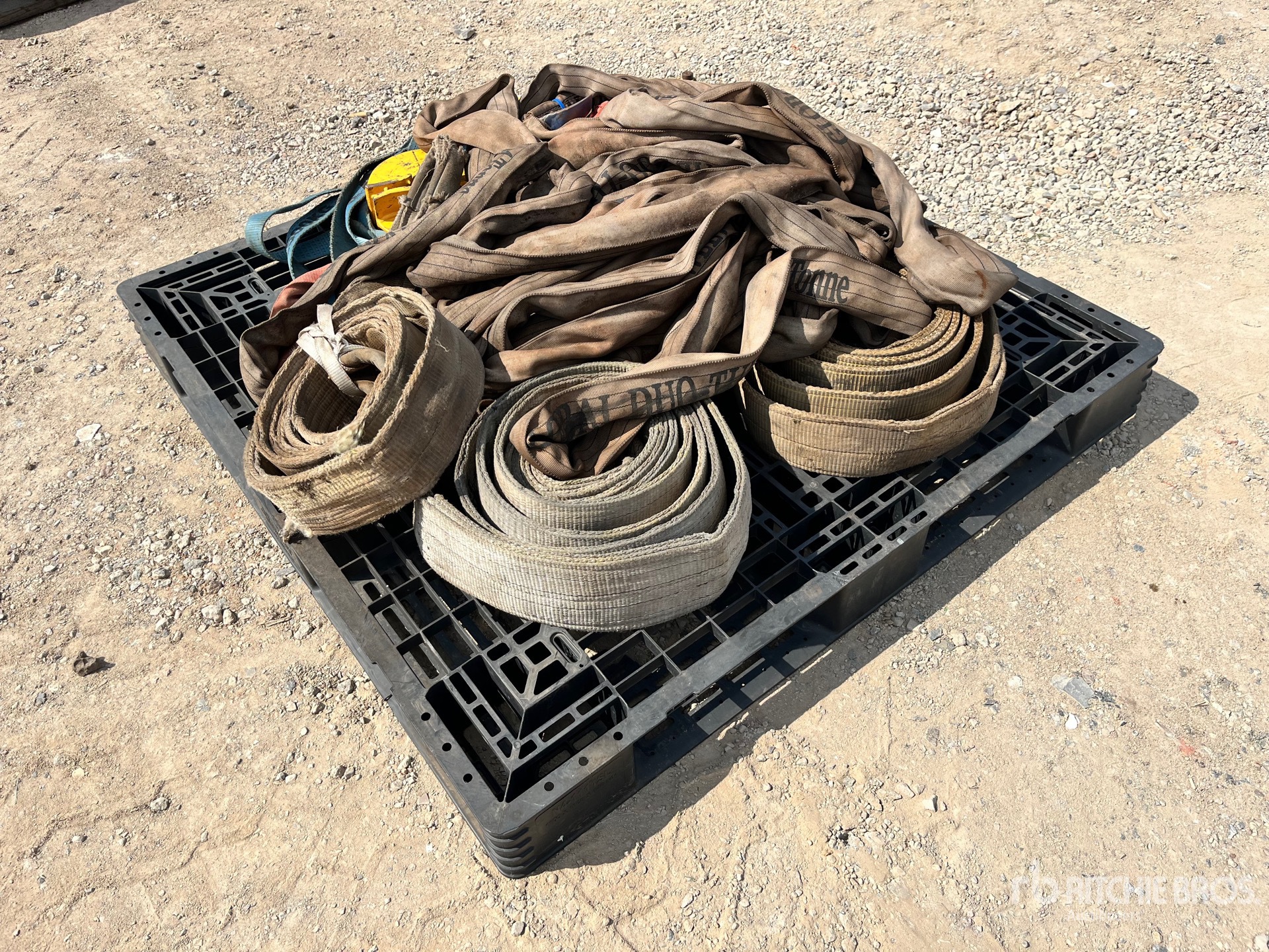 General Appearance with Imagen: esquina delantera derecha