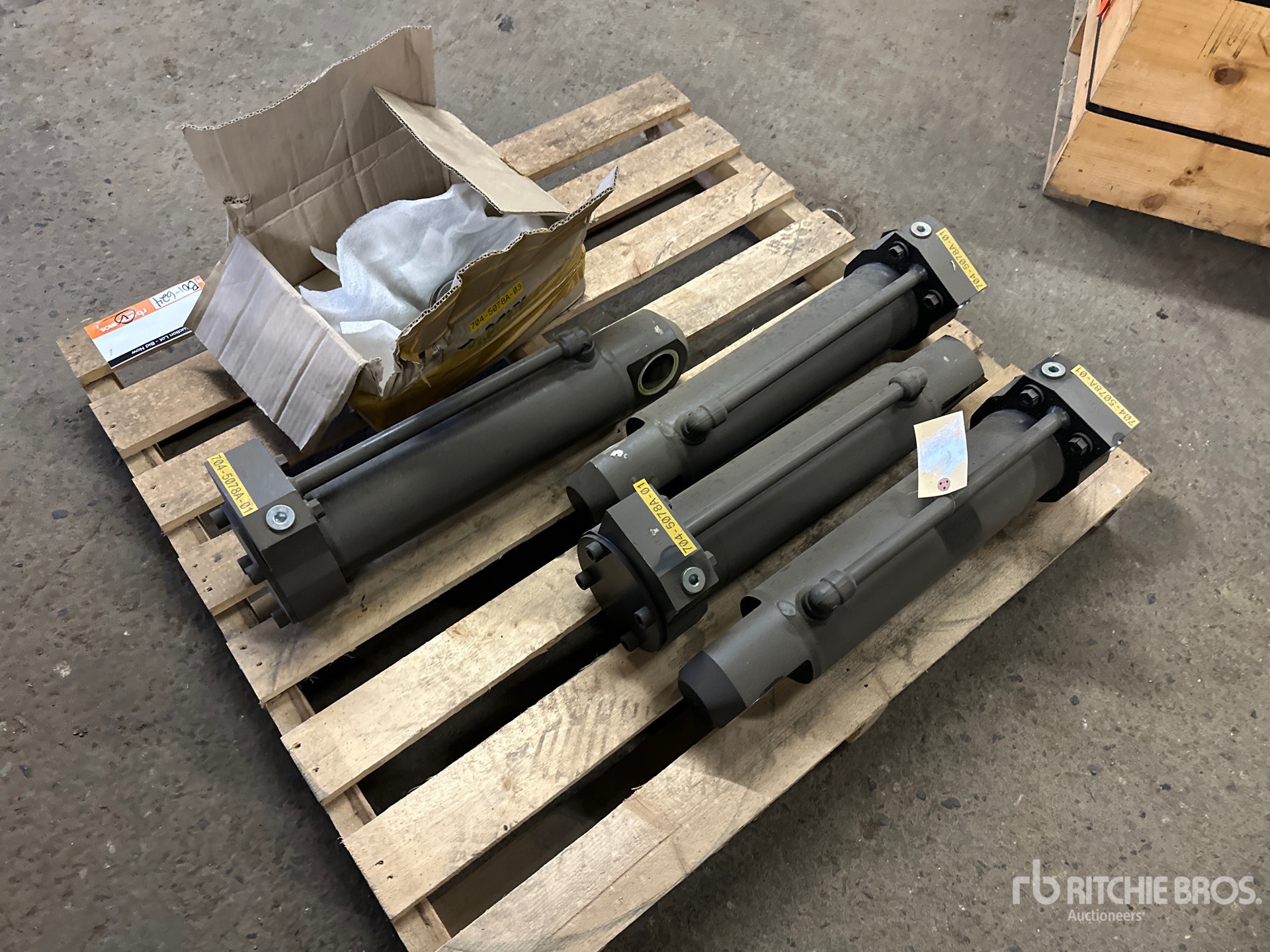 General Appearance with 