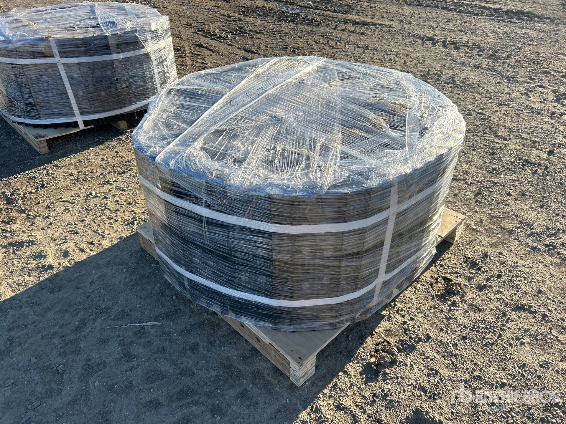 General Appearance with Zdjęcie, lewy dolny róg