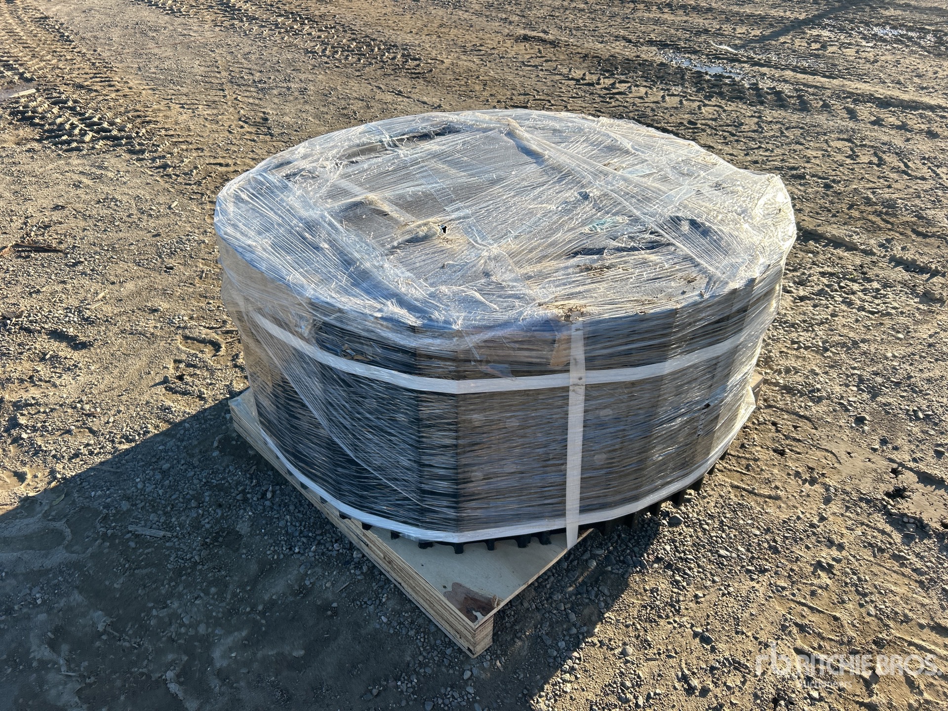 General Appearance with Zdjęcie, lewy dolny róg