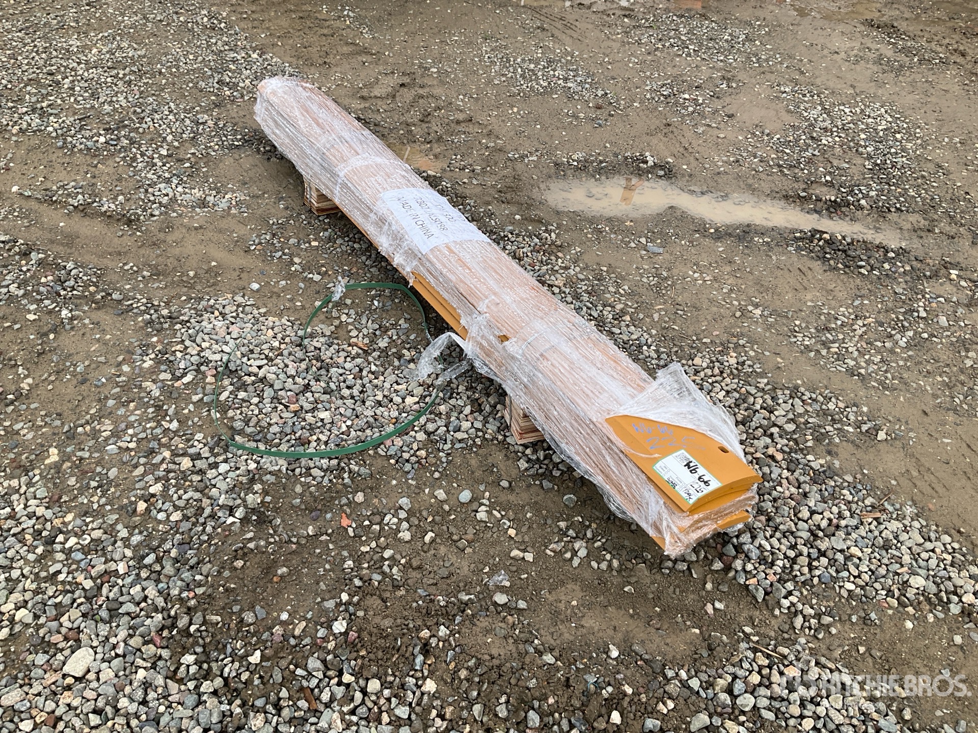 General Appearance with Zdjęcie, lewy górny róg