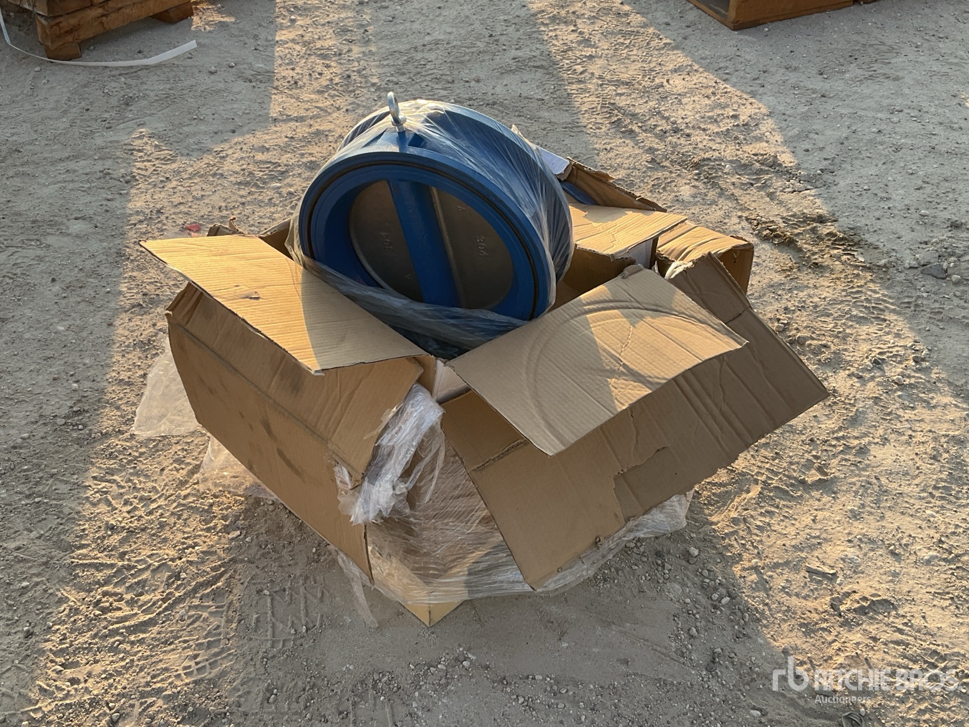 General Appearance with Image, coin arrière droit