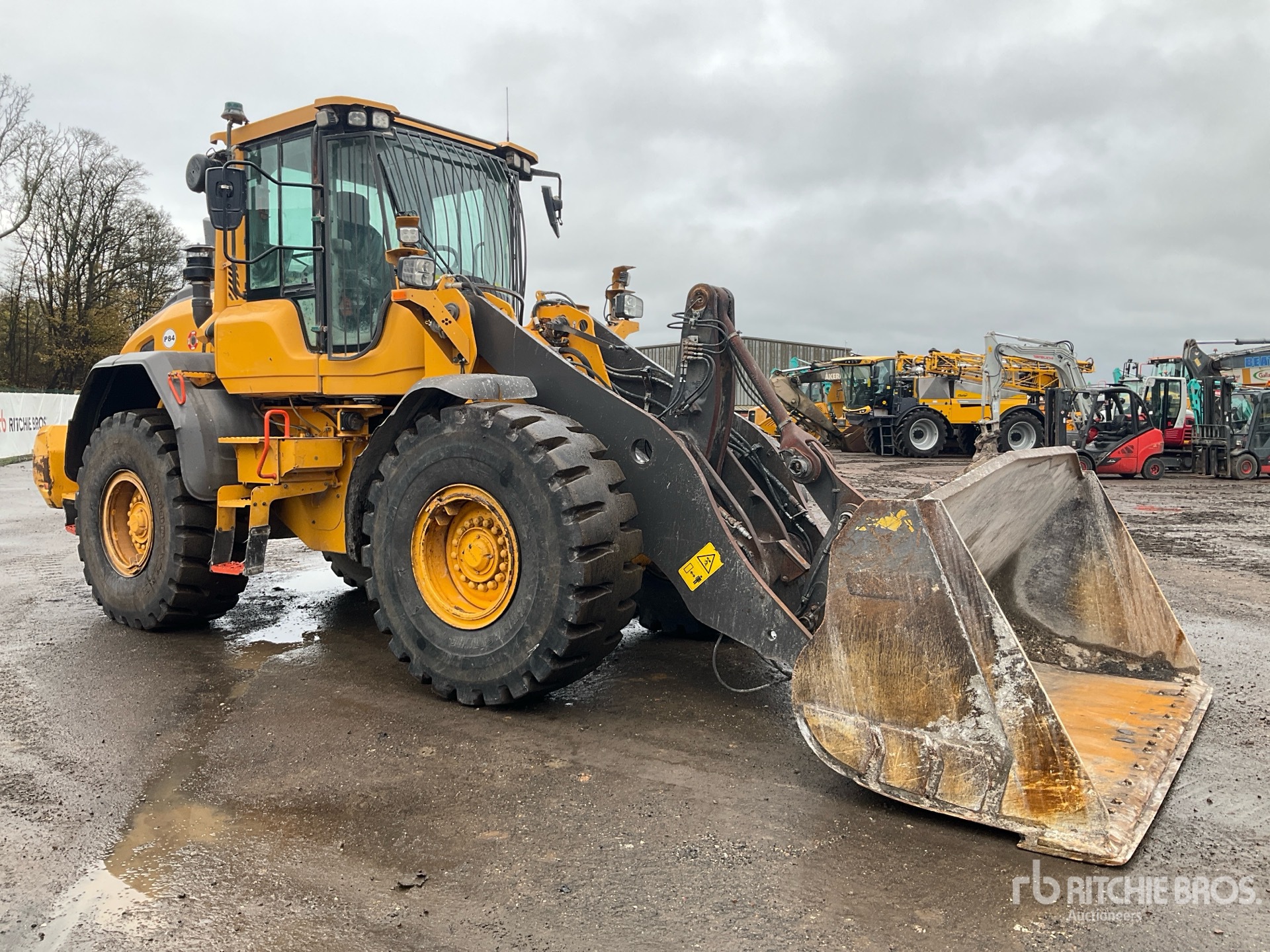 General Appearance with Picture, Right Front Corner