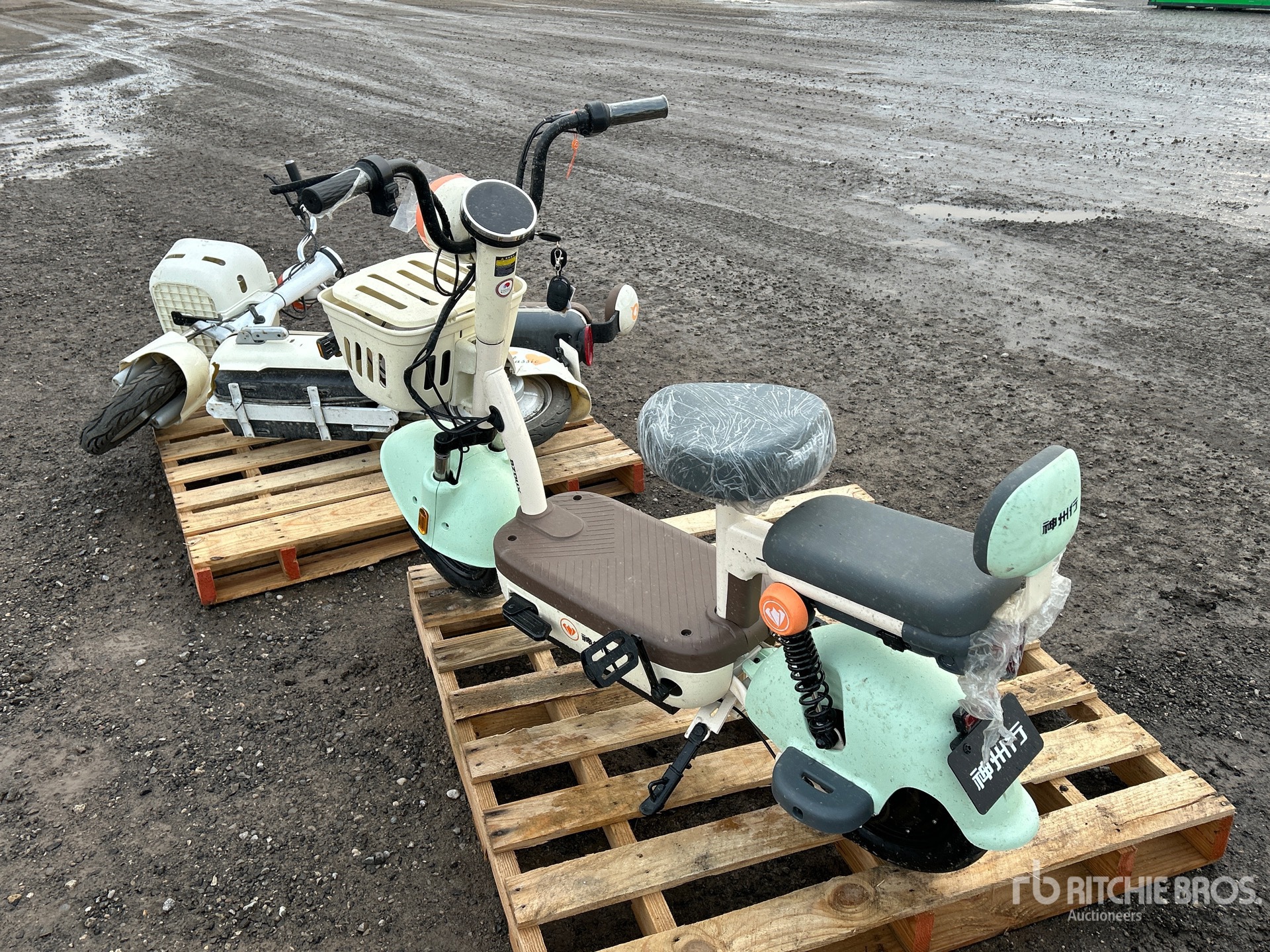 General Appearance with Foto, angolo posteriore sinistro