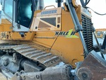 General Appearance with Paint