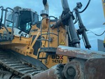 General Appearance with Paint