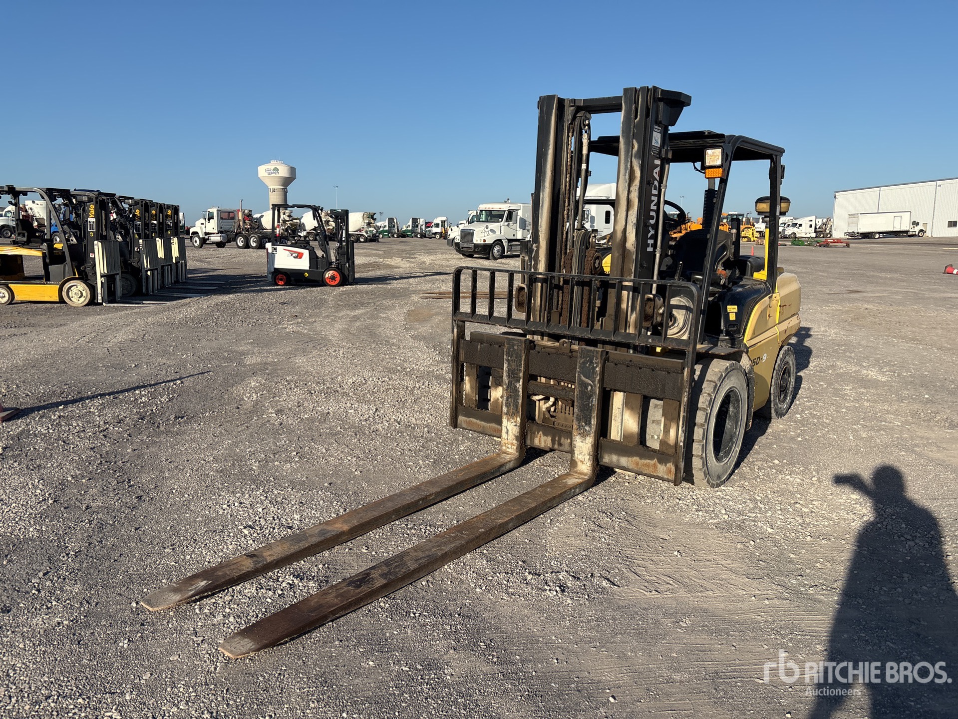 General Appearance with Bild, Ecke vorne links