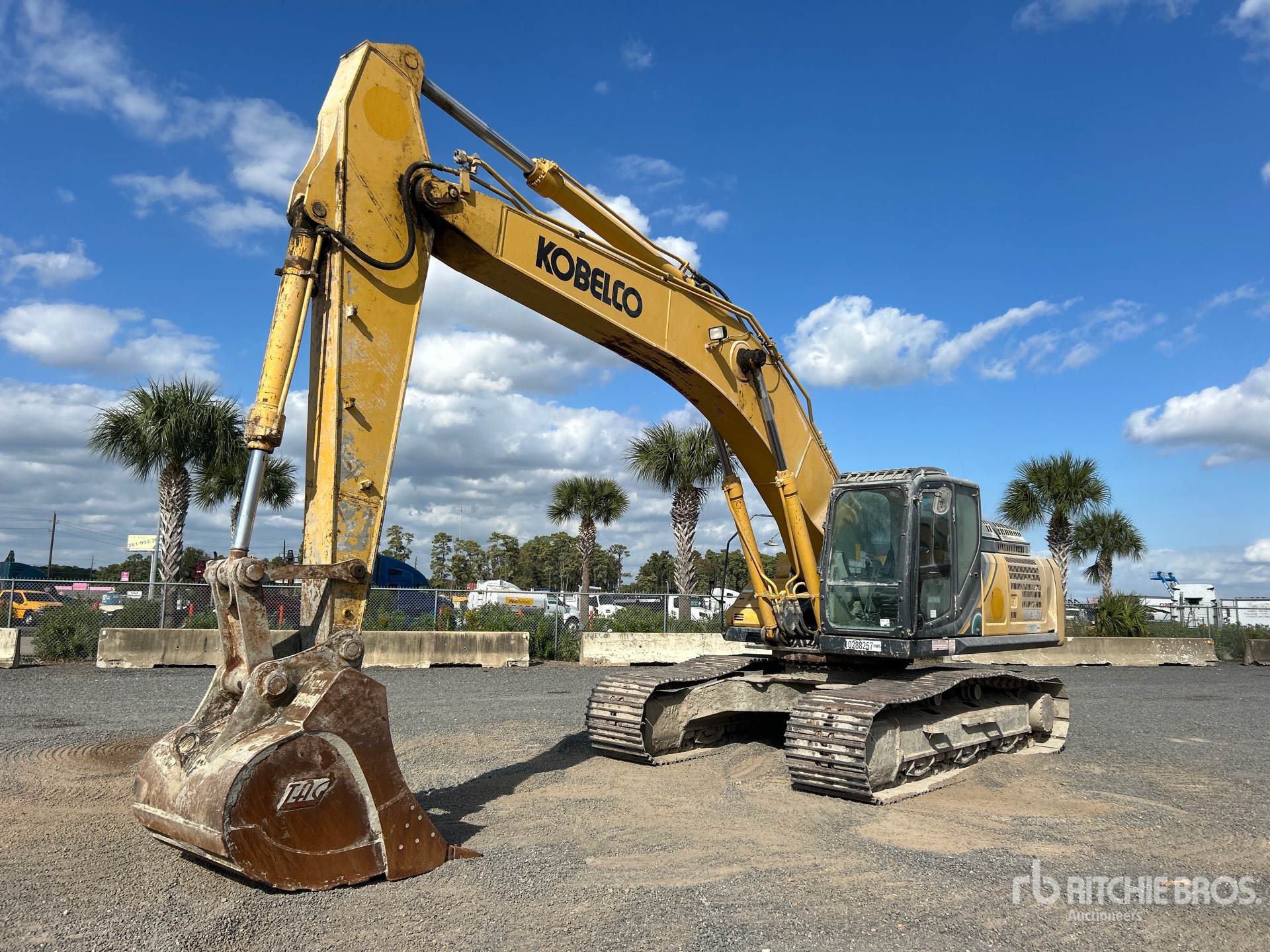 General Appearance with Spin