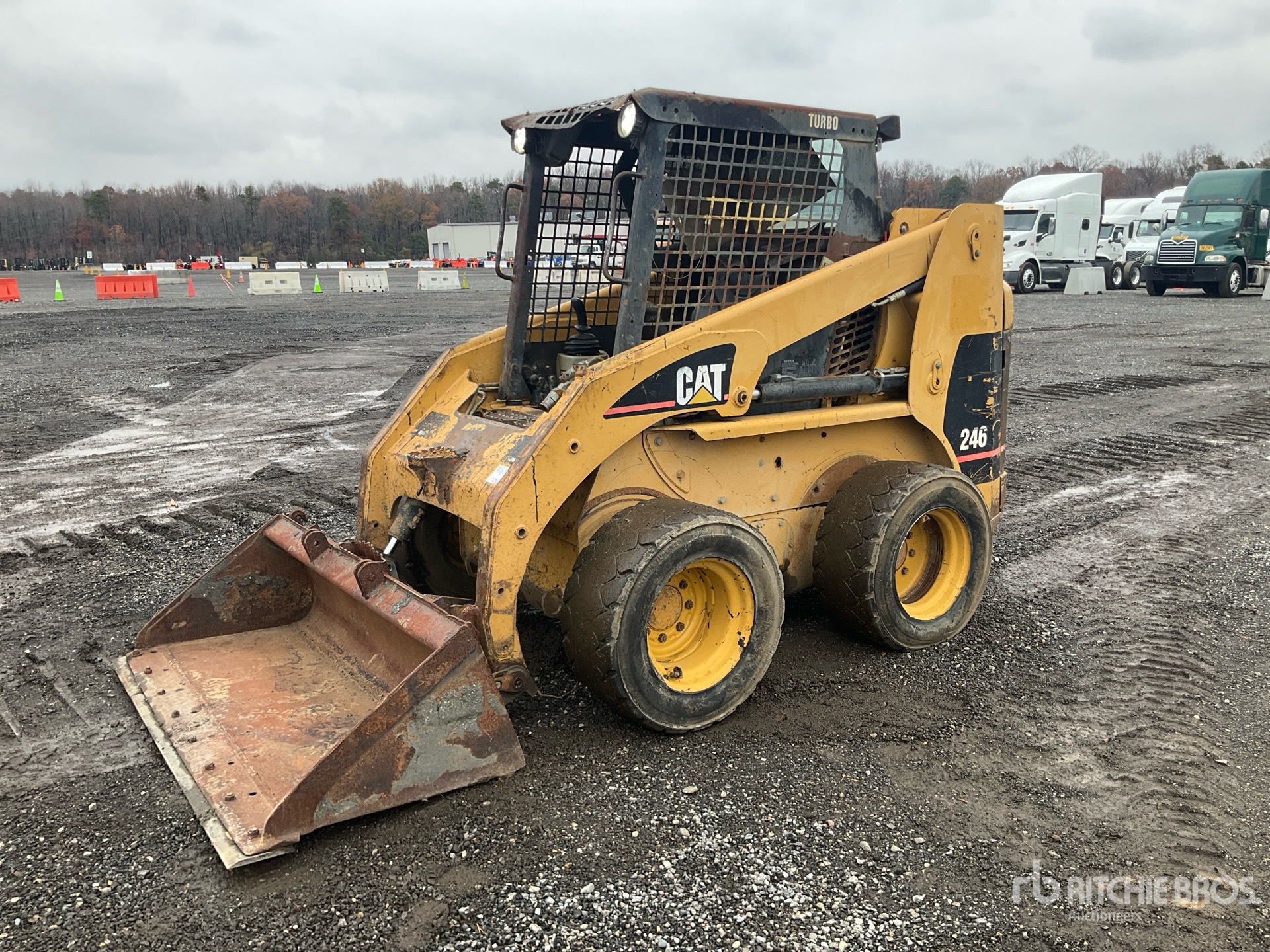 General Appearance with Spin