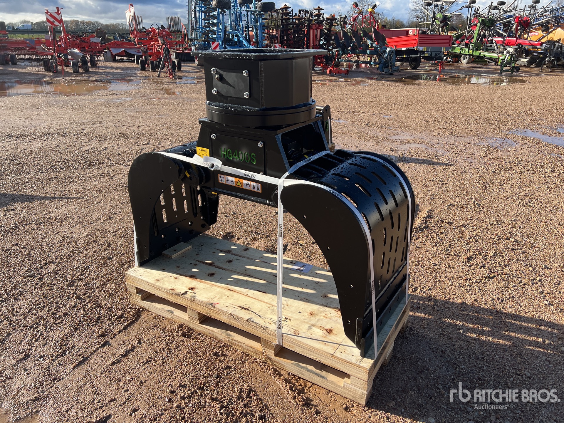 General Appearance with 