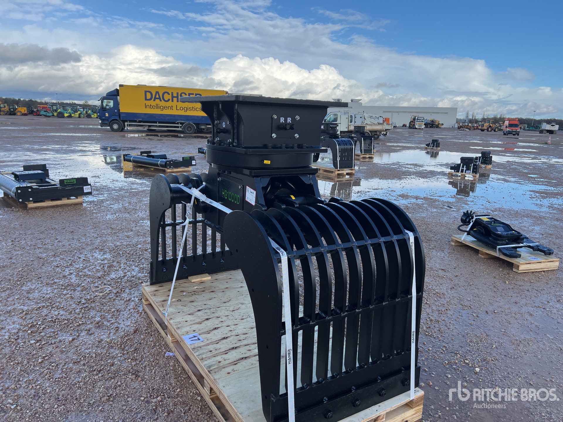 General Appearance with 