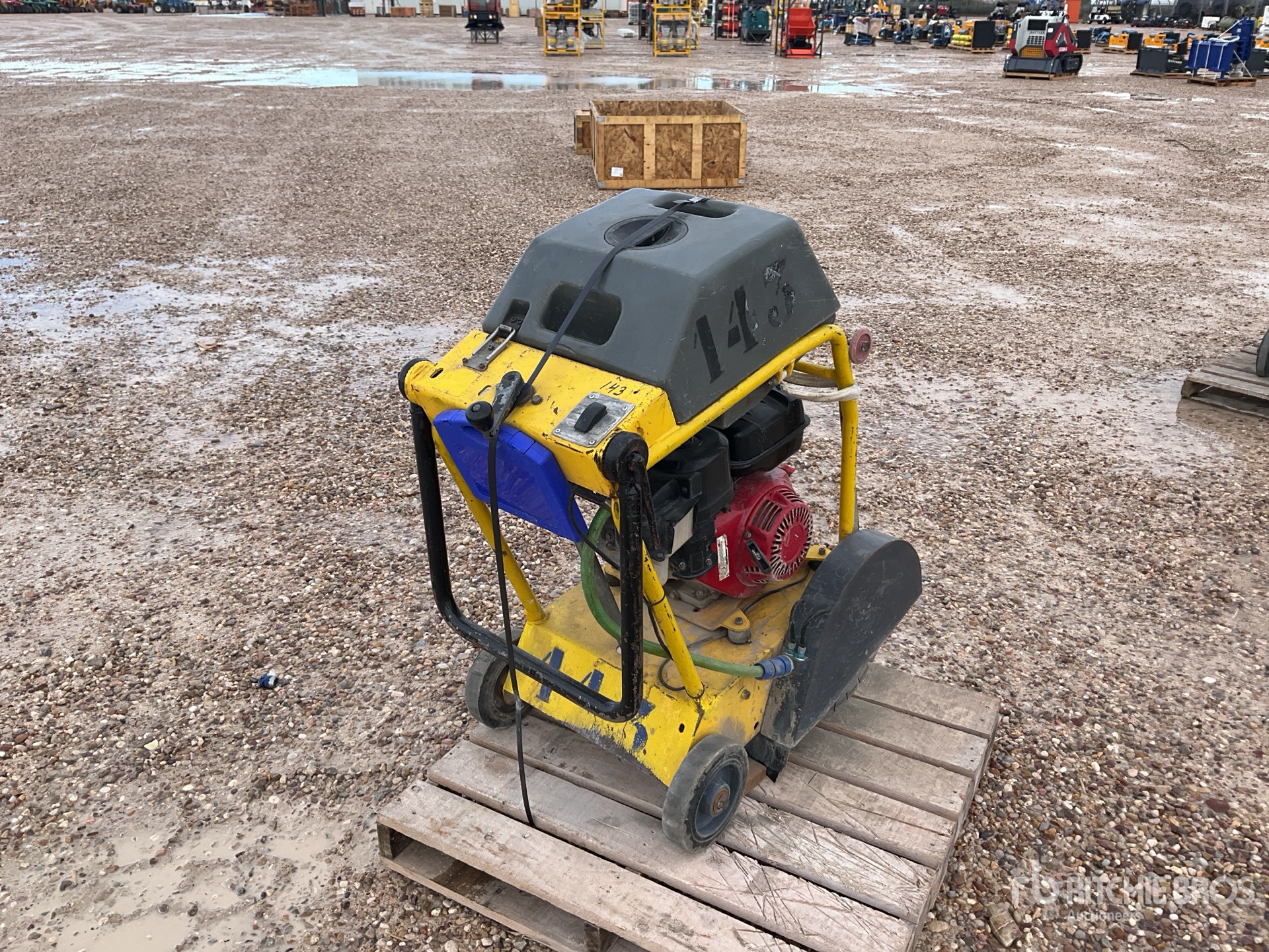 General Appearance with 