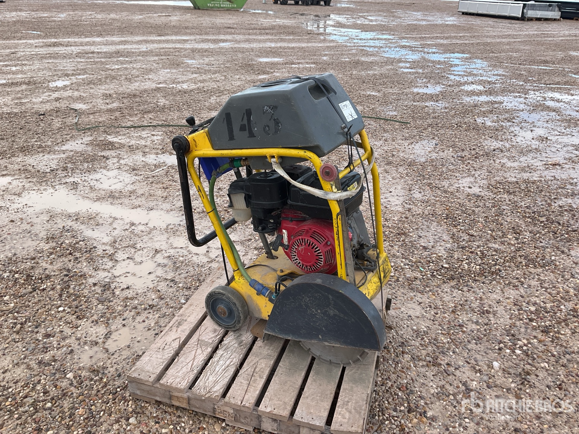 General Appearance with 