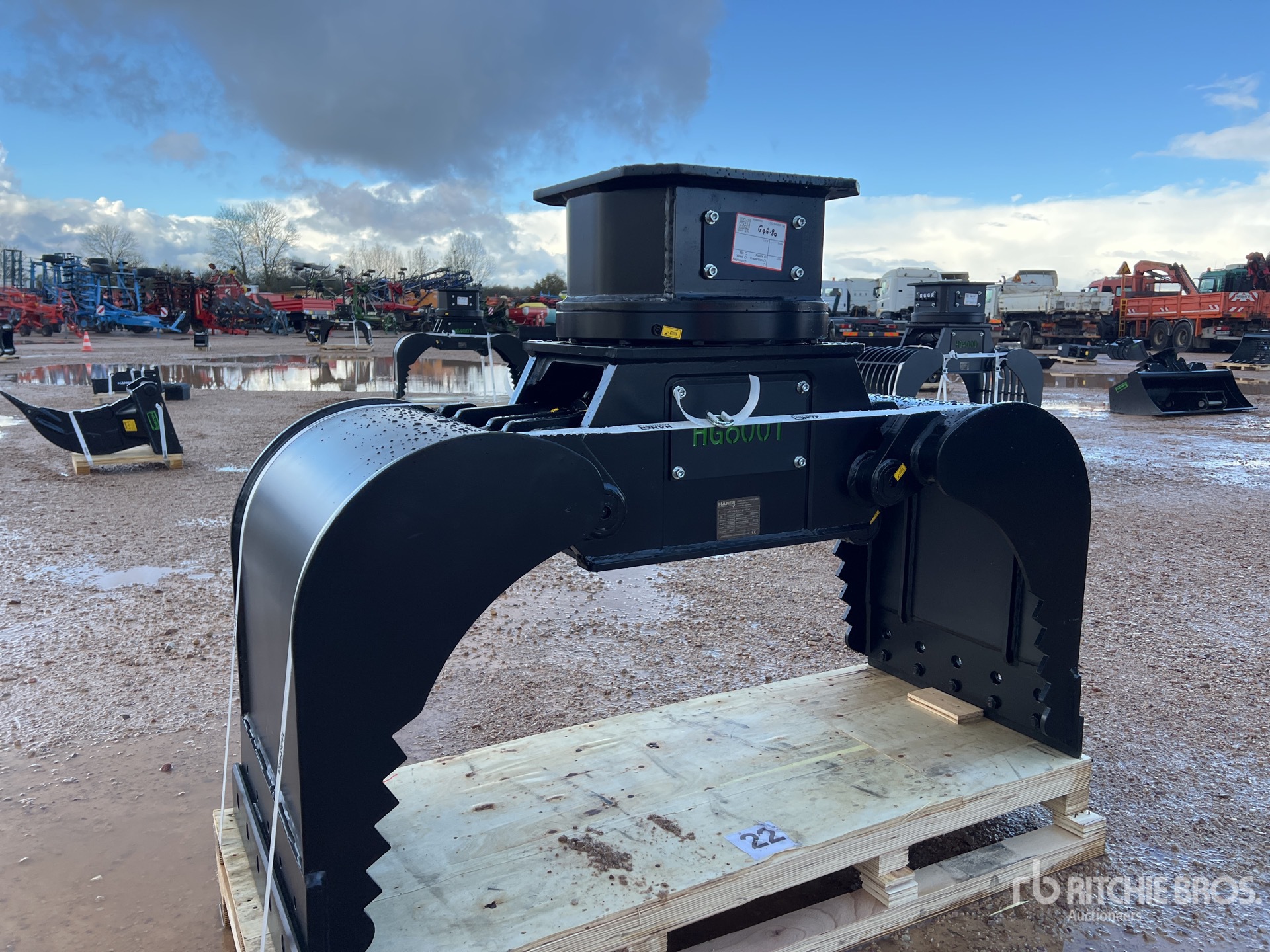 General Appearance with 