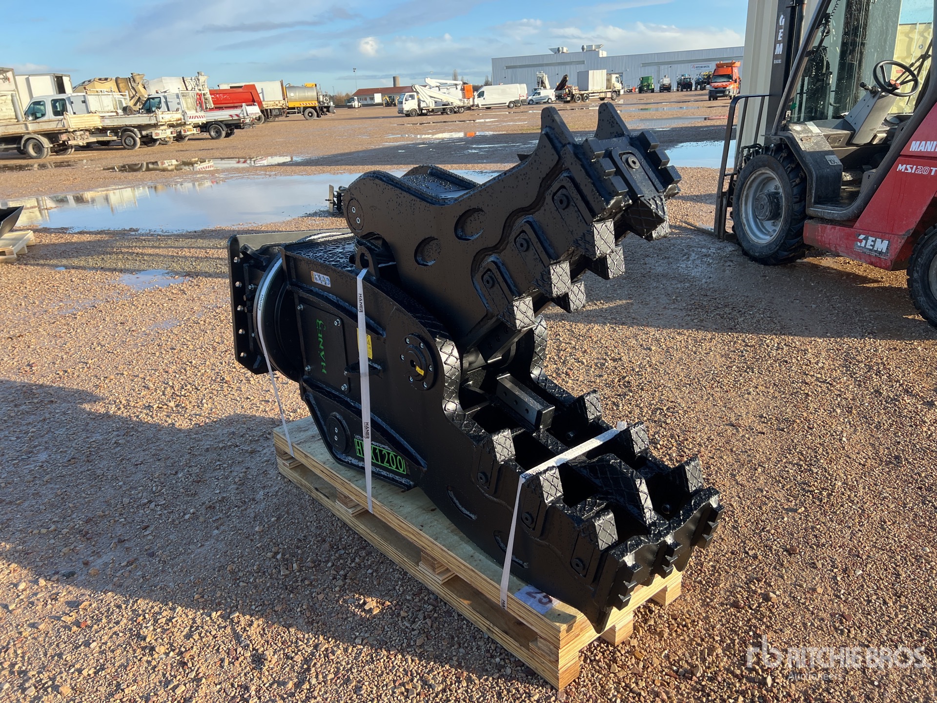 General Appearance with 