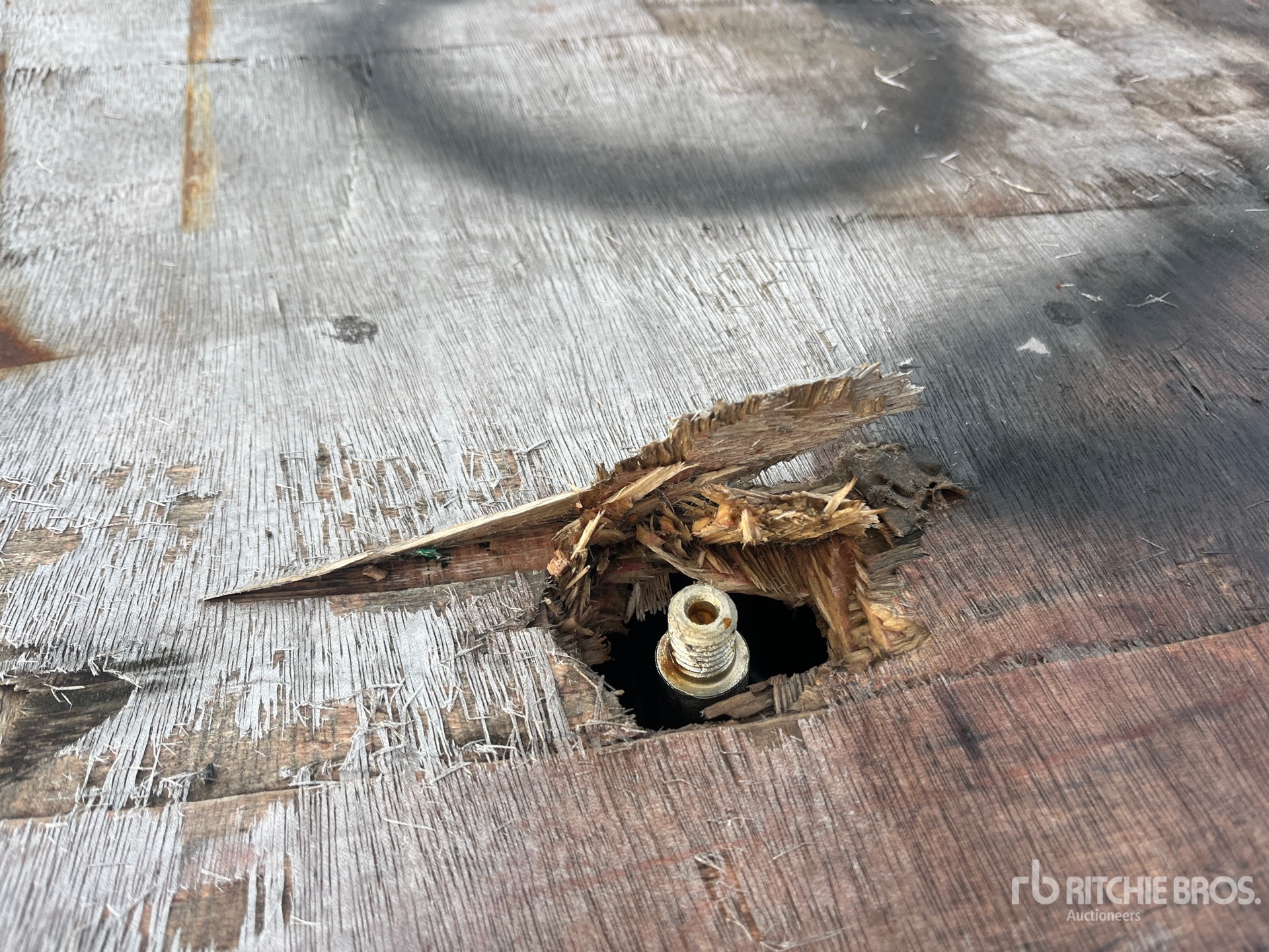 General Appearance with Image, coin arrière droit