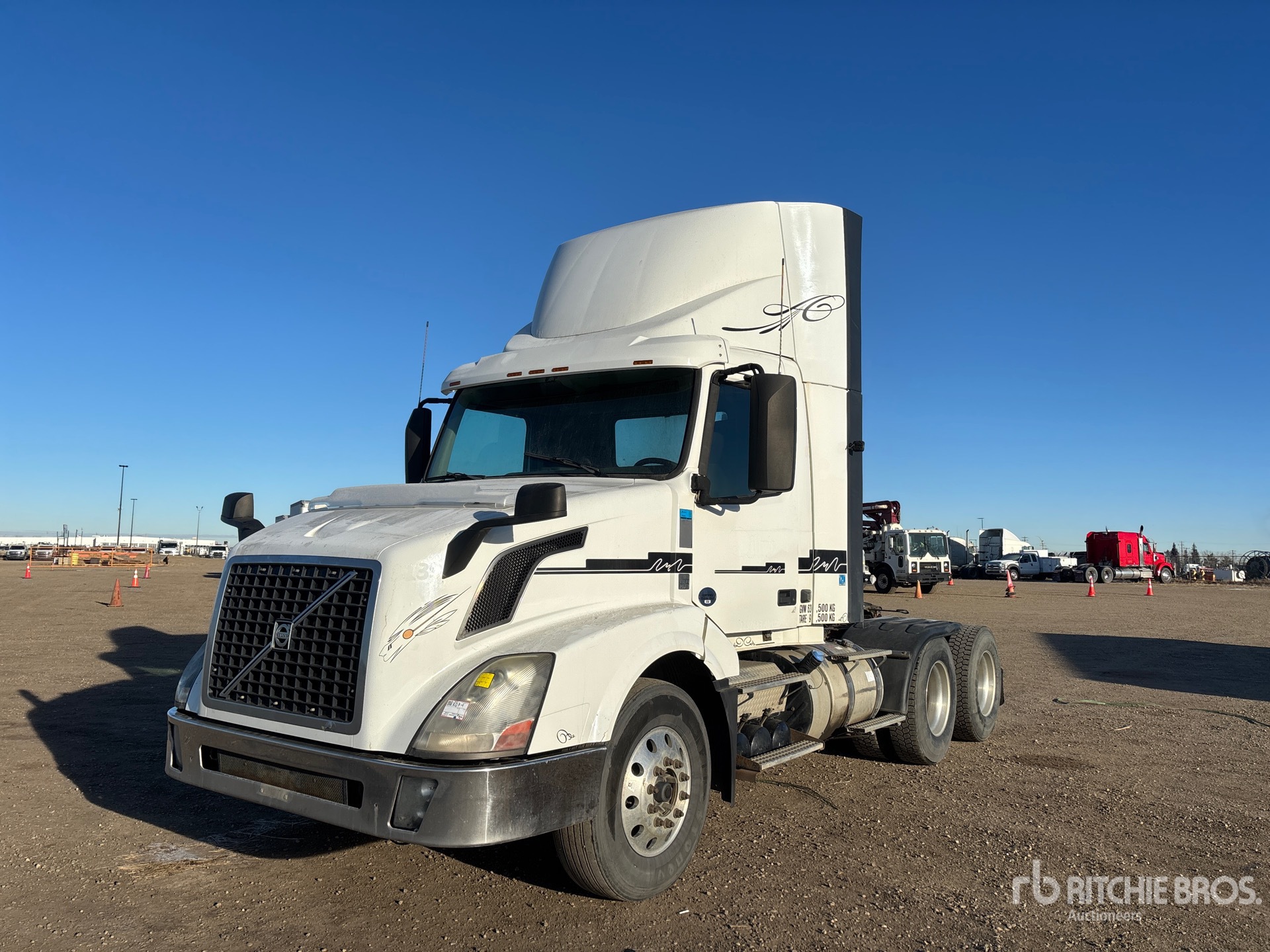 General Appearance with Spin