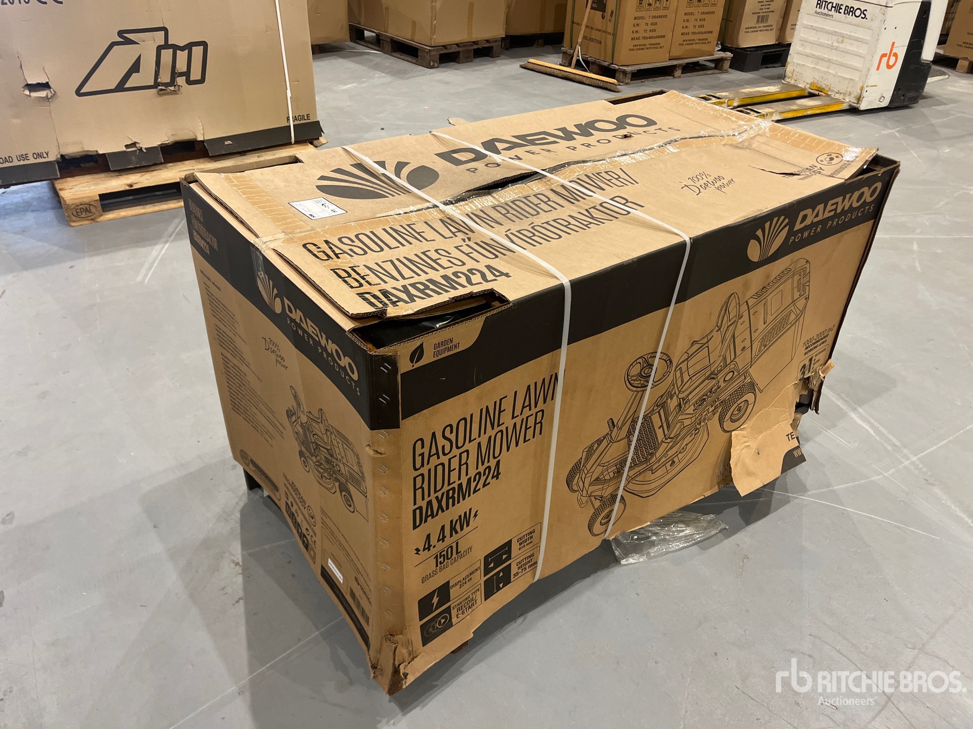 General Appearance with Image, coin arrière droit