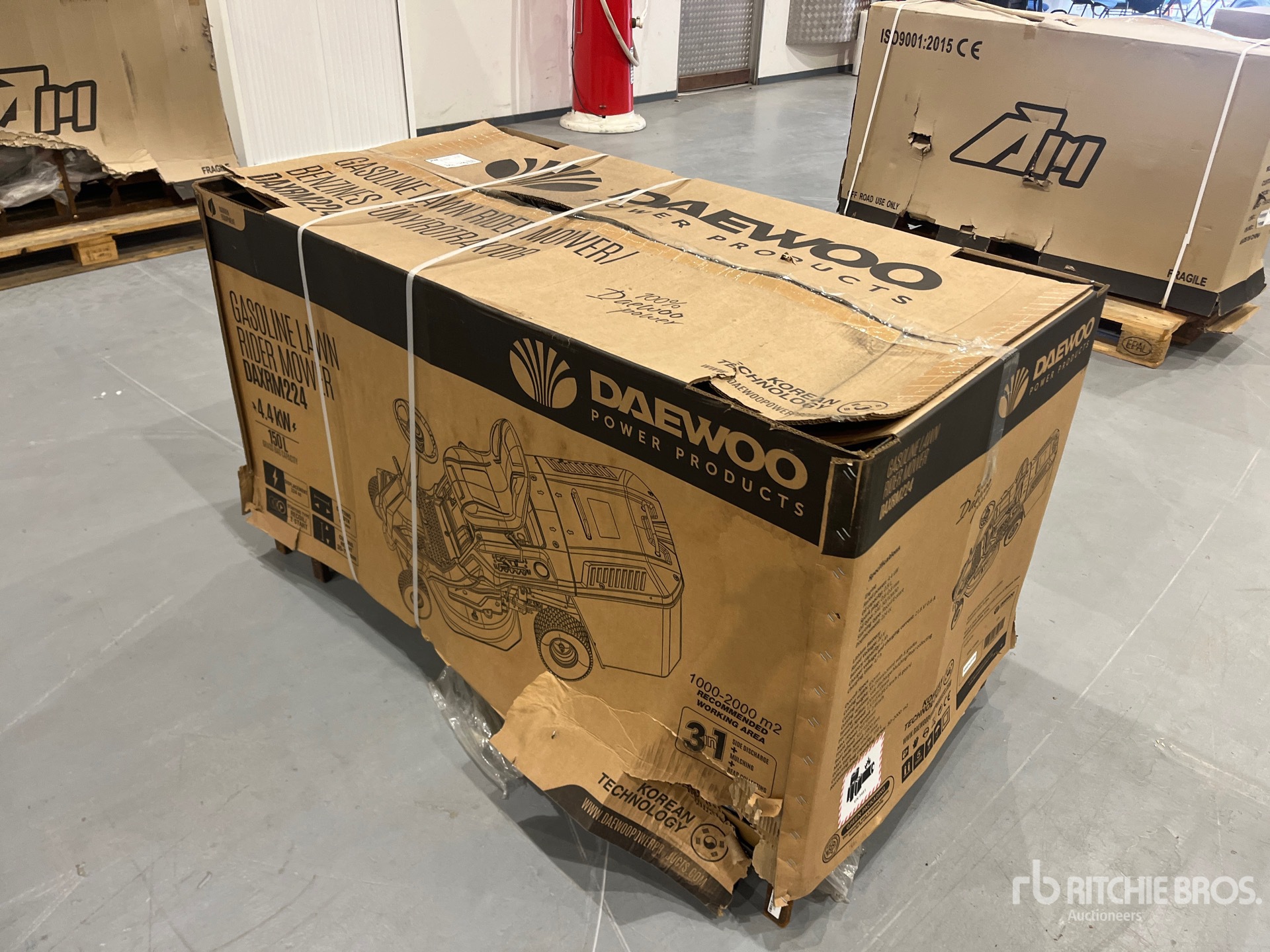 General Appearance with Image, coin avant droit