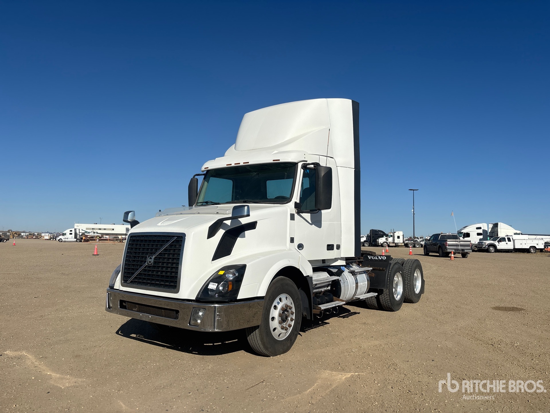 General Appearance with Spin