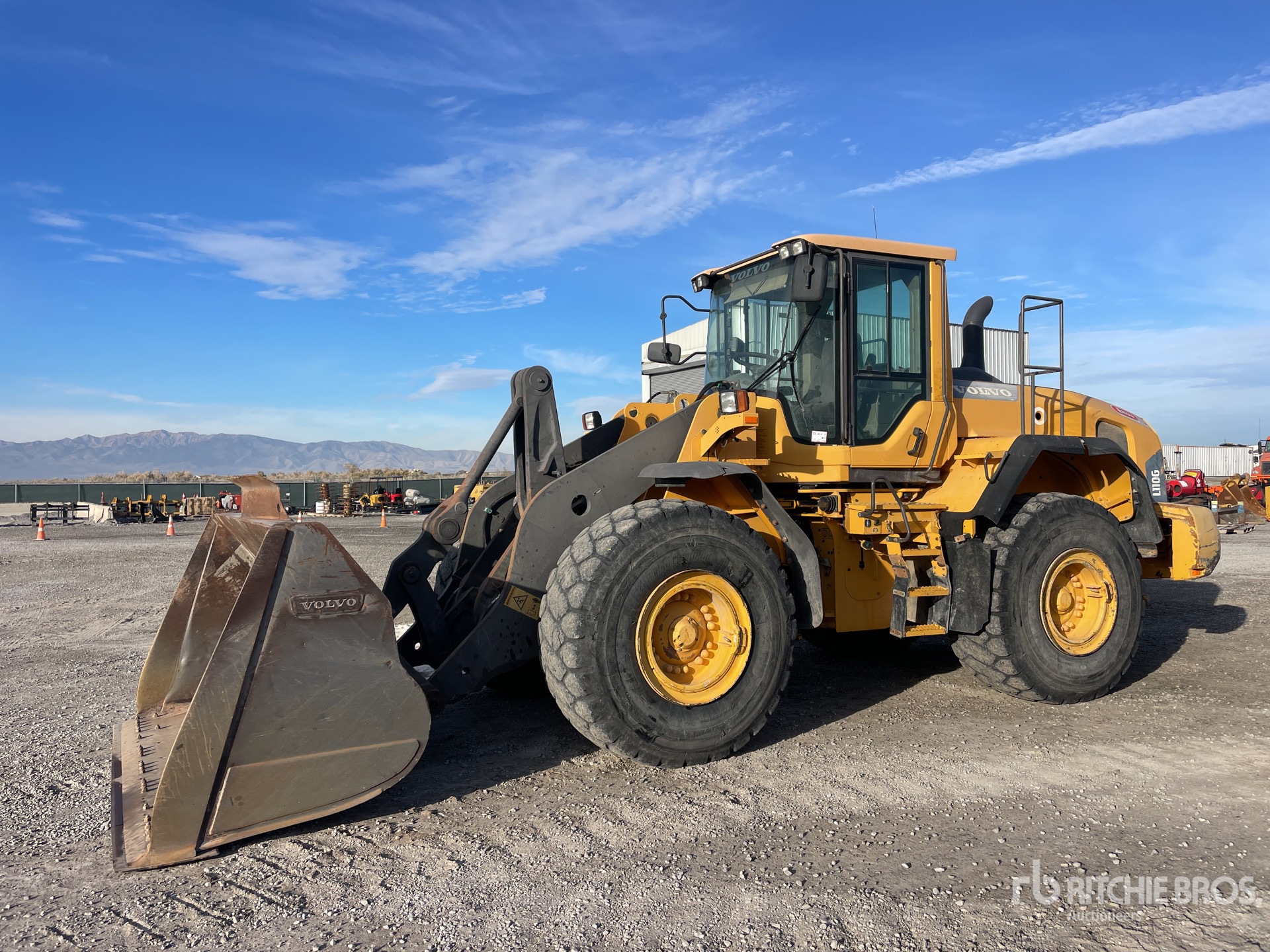 General Appearance with Spin